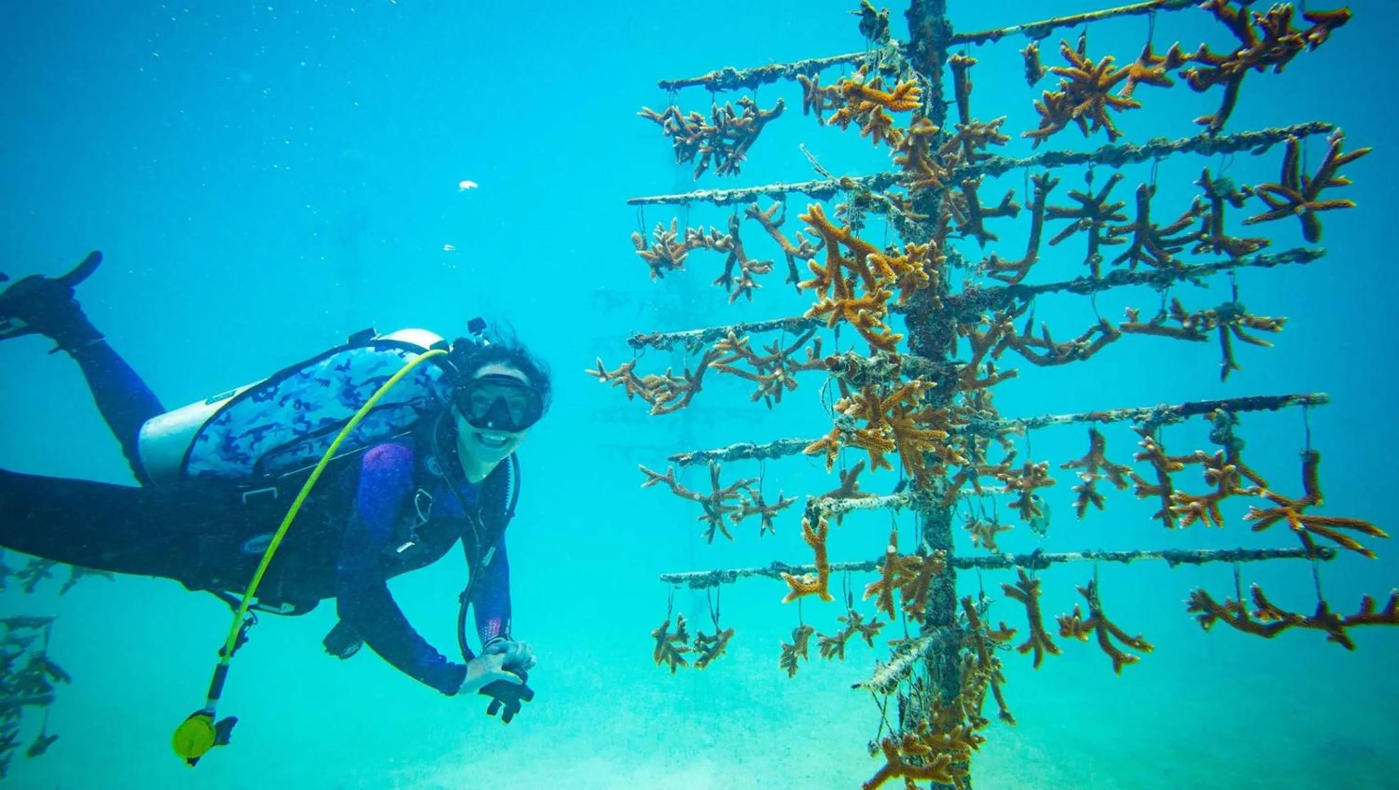 Beach in Kimpton Angler’s Hotel South Beach by IHG