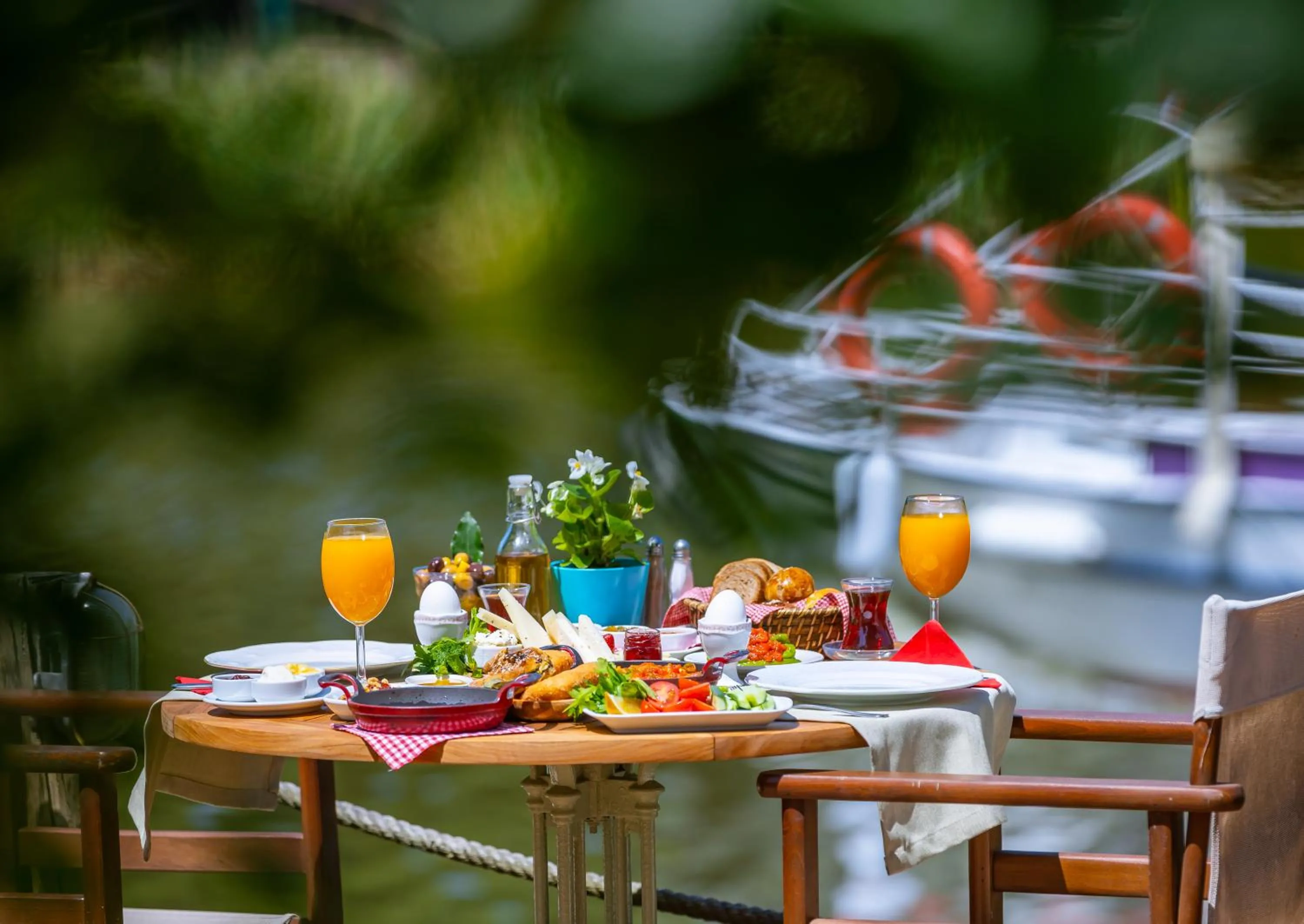 View (from property/room) in Tranquilla River Lodge