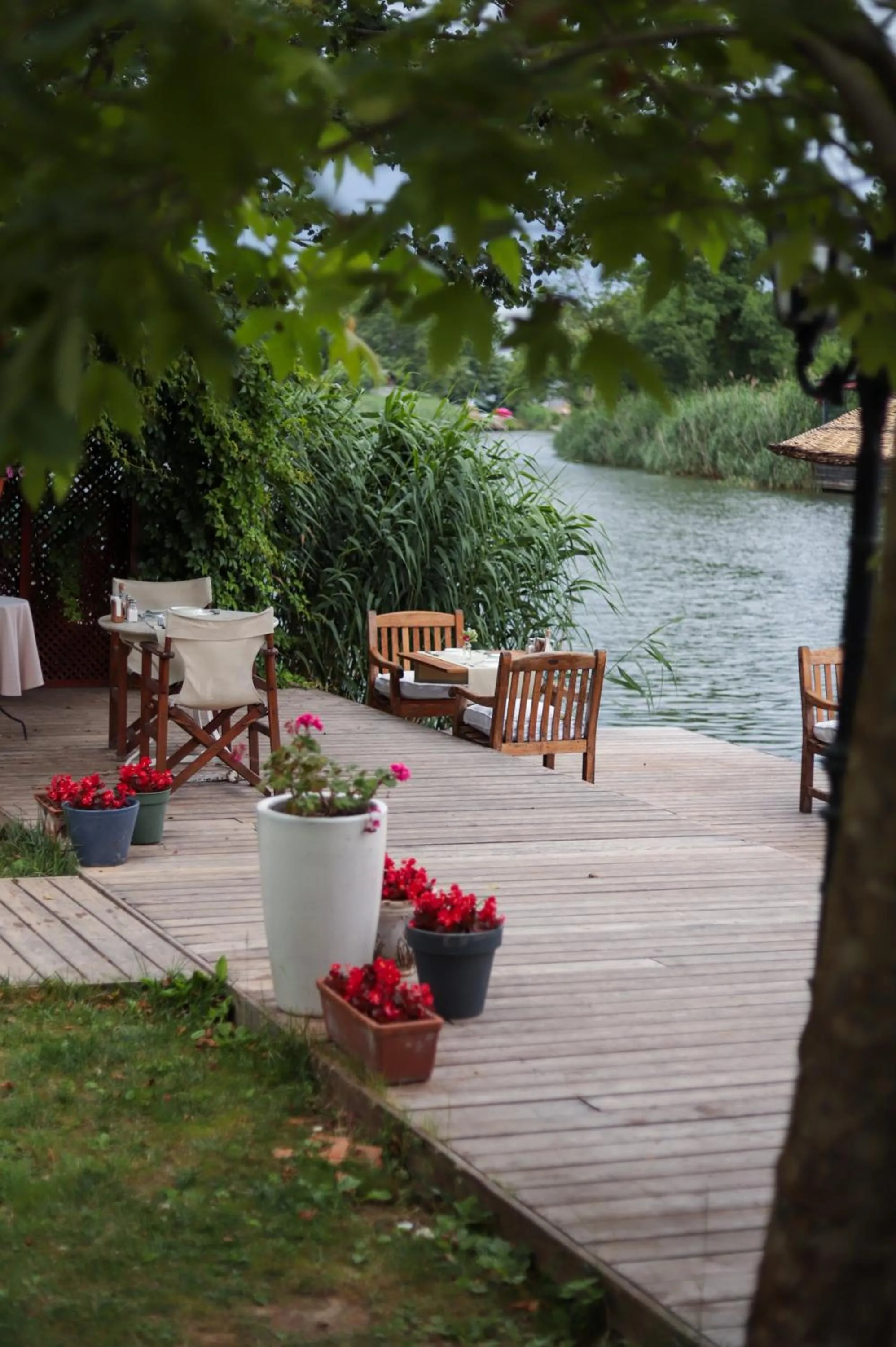 Restaurant/places to eat in Tranquilla River Lodge