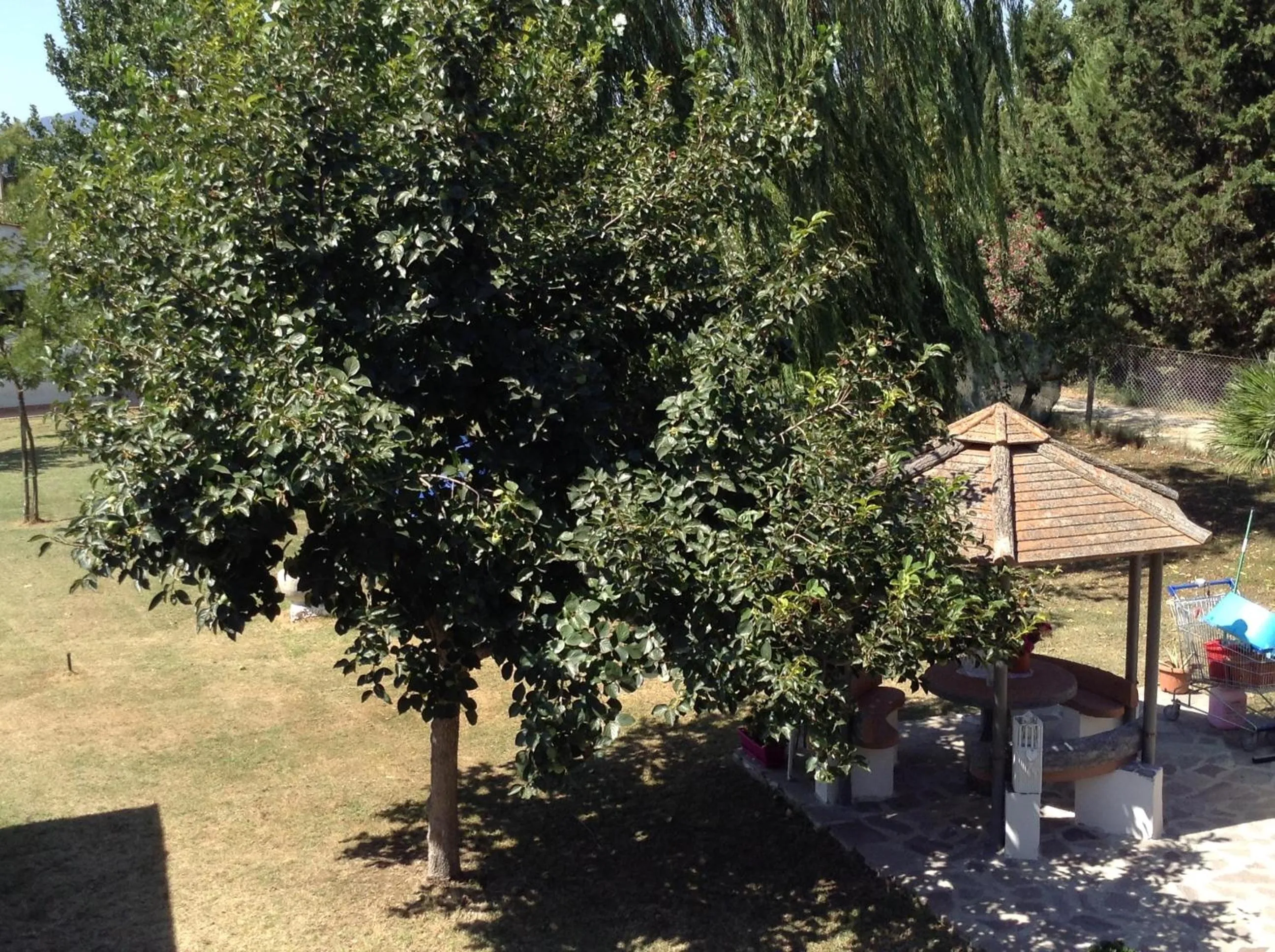 Day in Villa Isabella