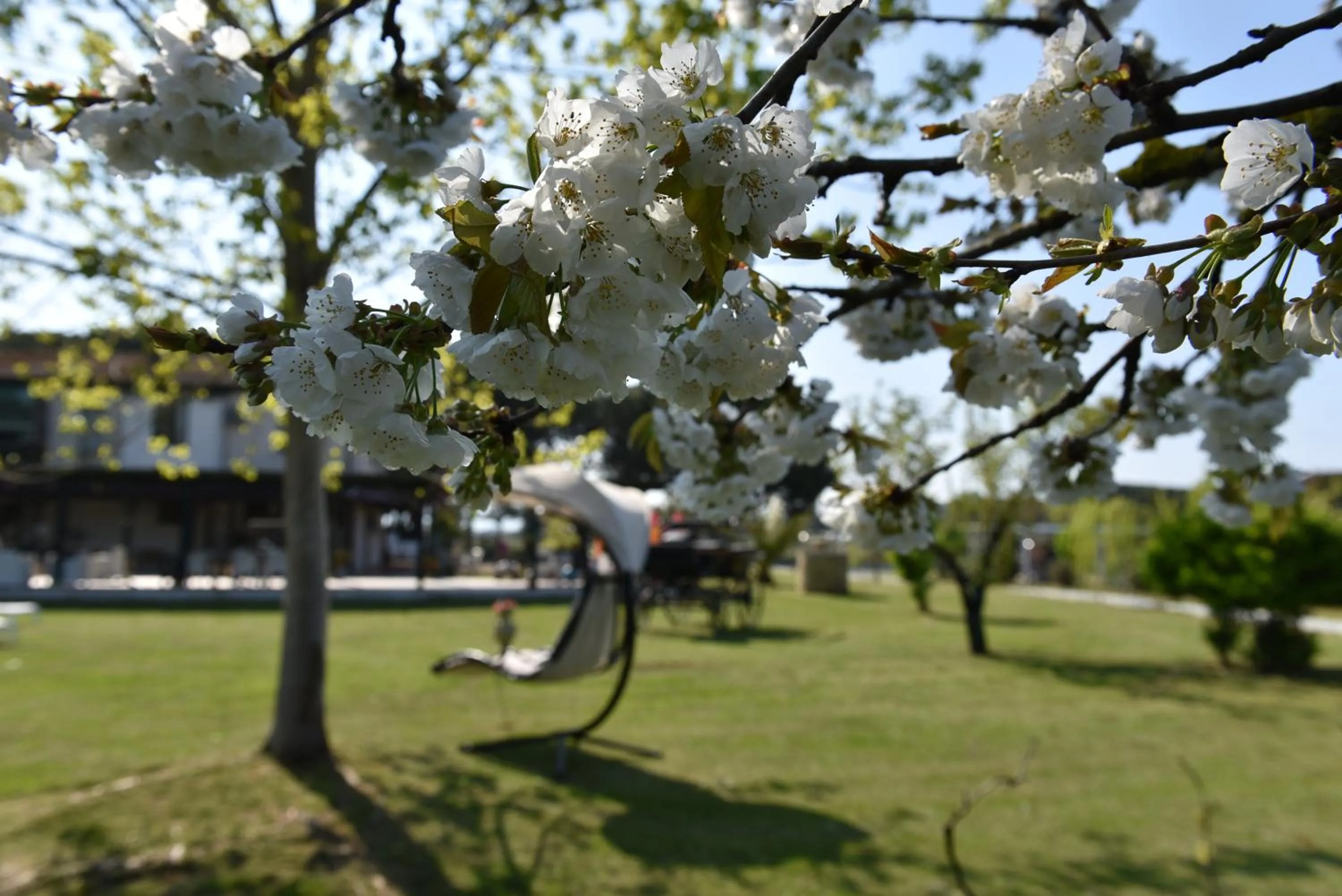Spring in Villa Isabella