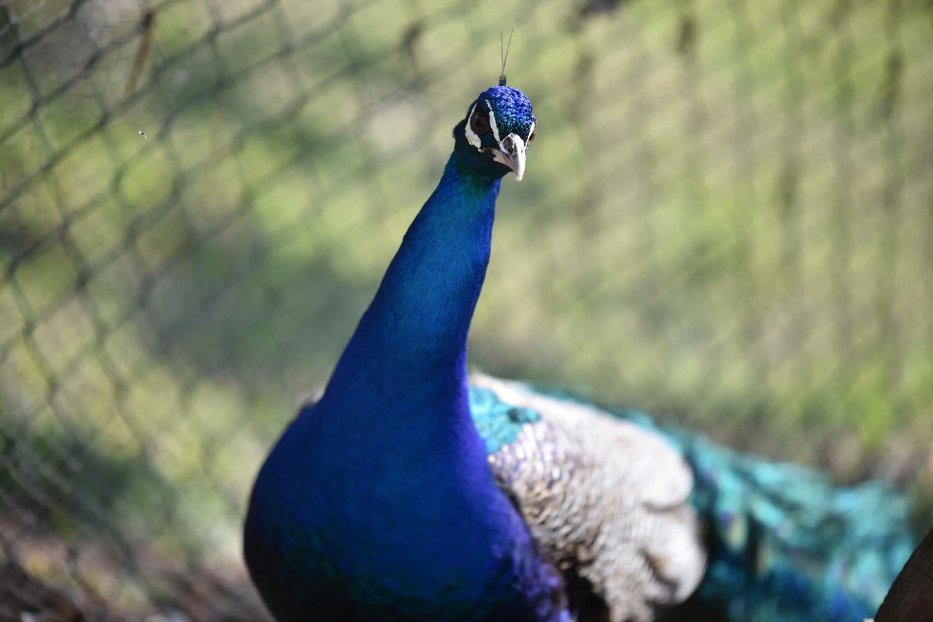 Day in Villa Isabella