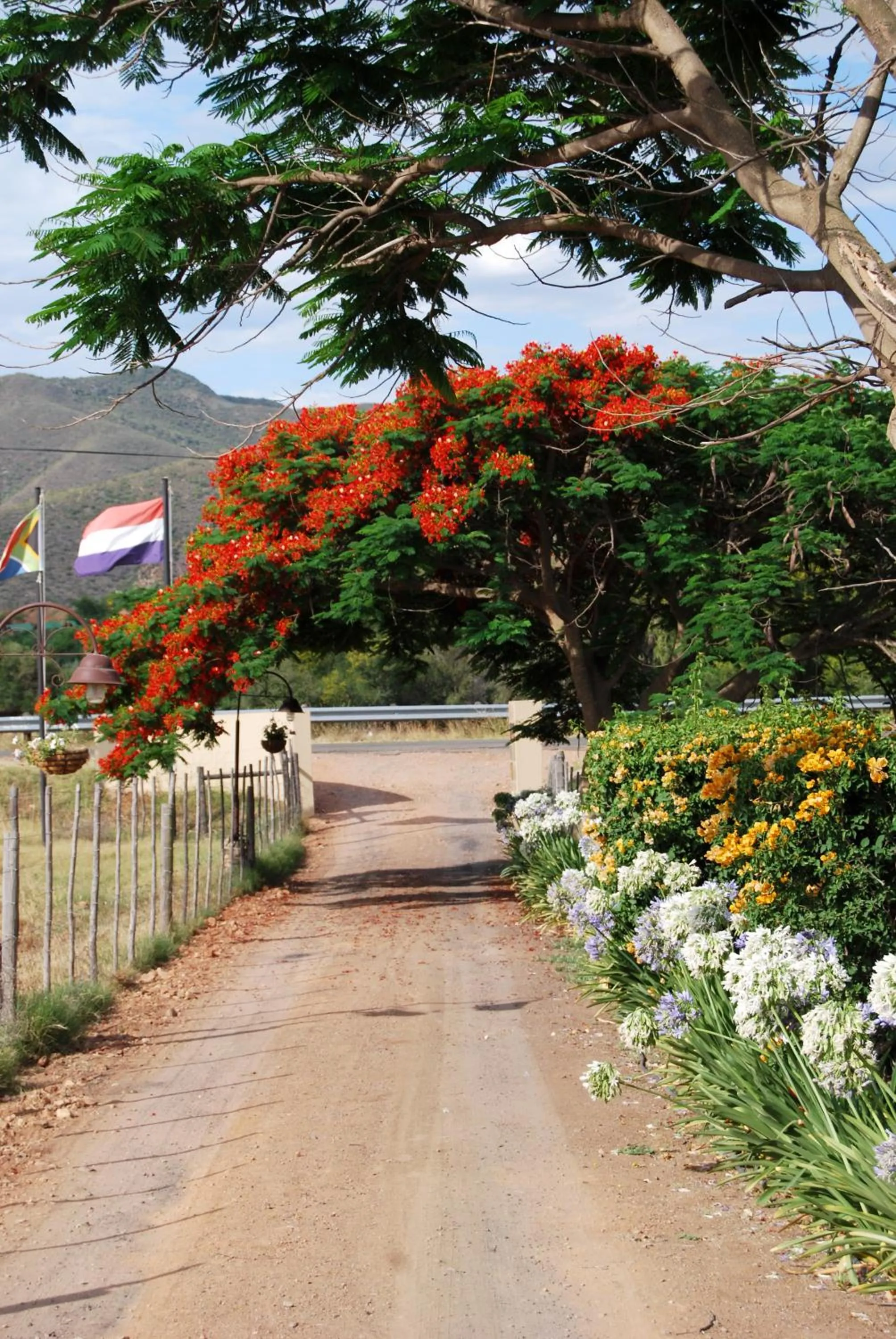 Facade/entrance in Die Fonteine Country Guesthouse and Glamping