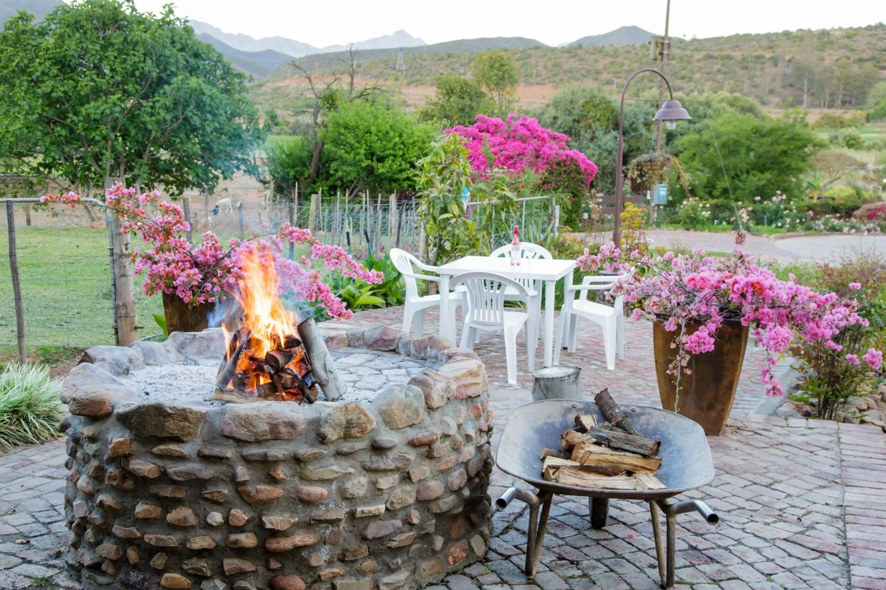 Activities in Die Fonteine Country Guesthouse and Glamping