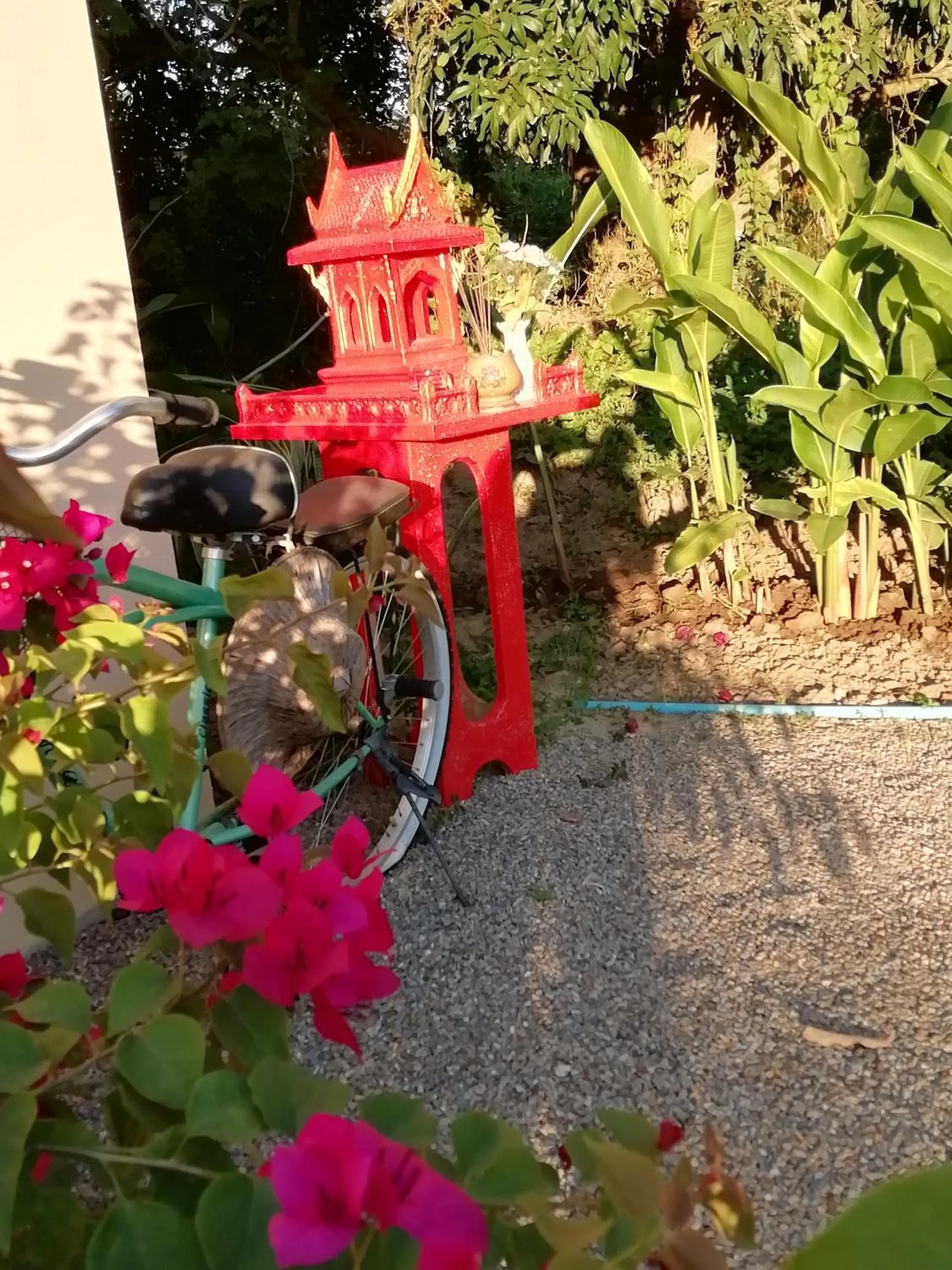 Other in Longan Tree