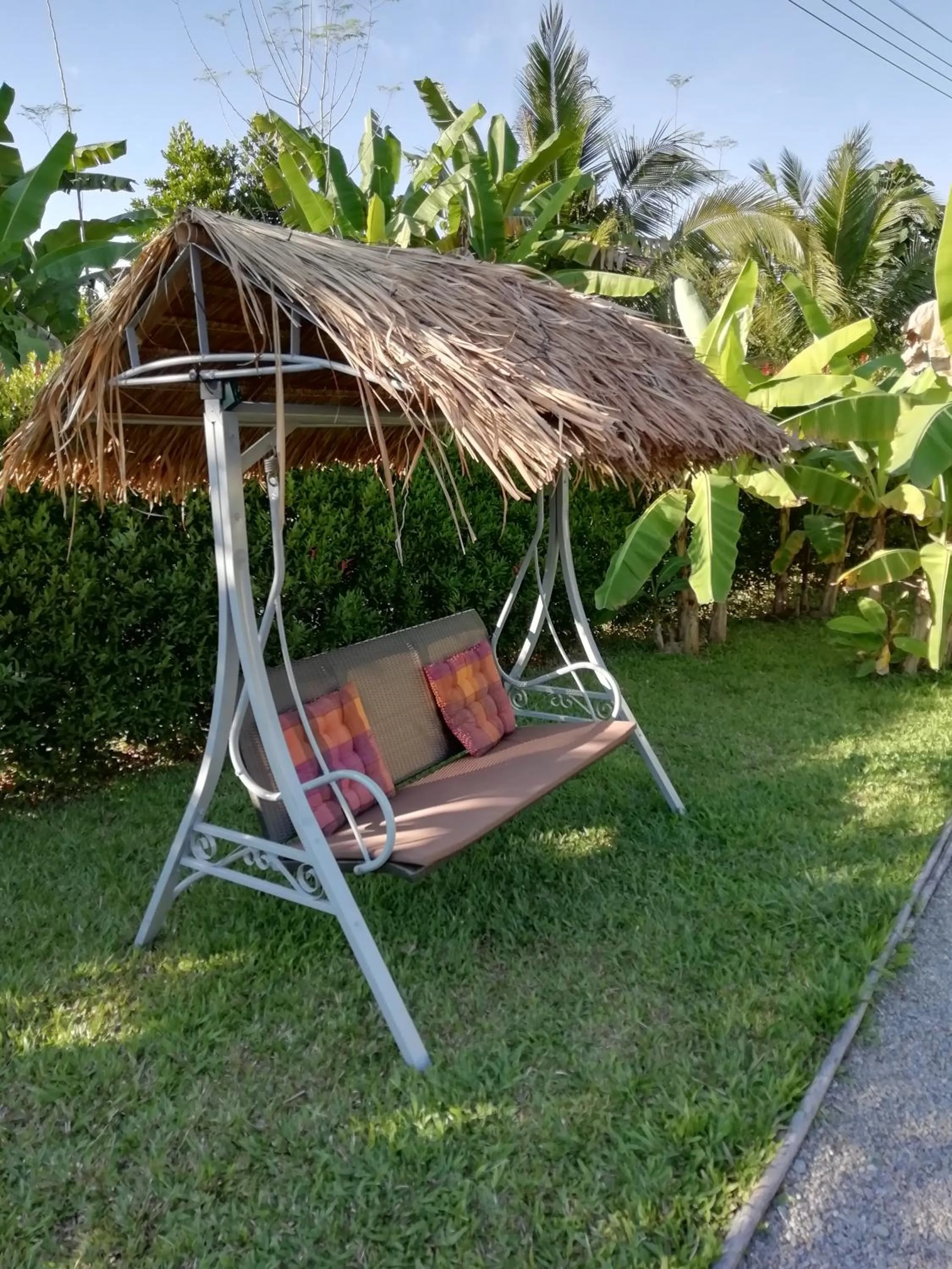 Other in Longan Tree