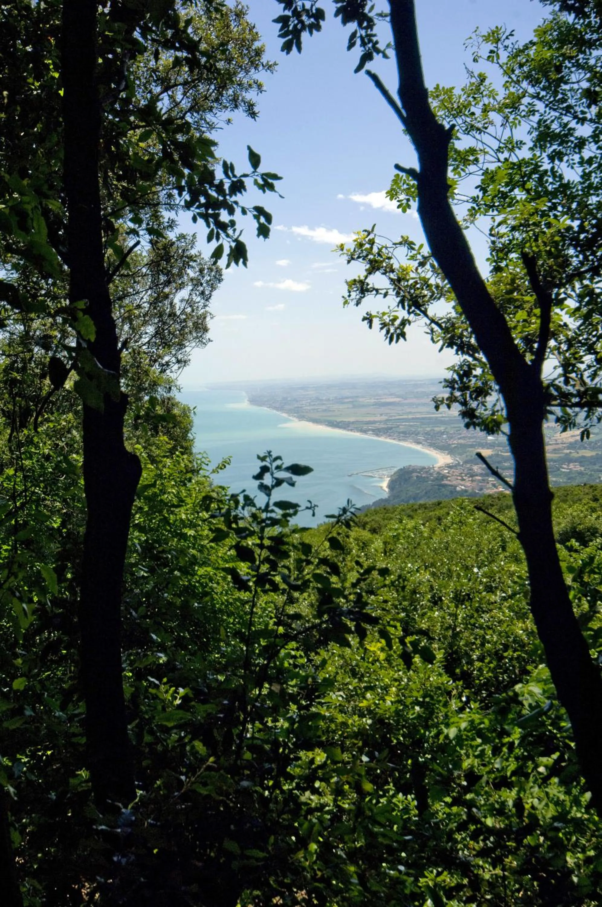 View (from property/room) in Hotel Monteconero