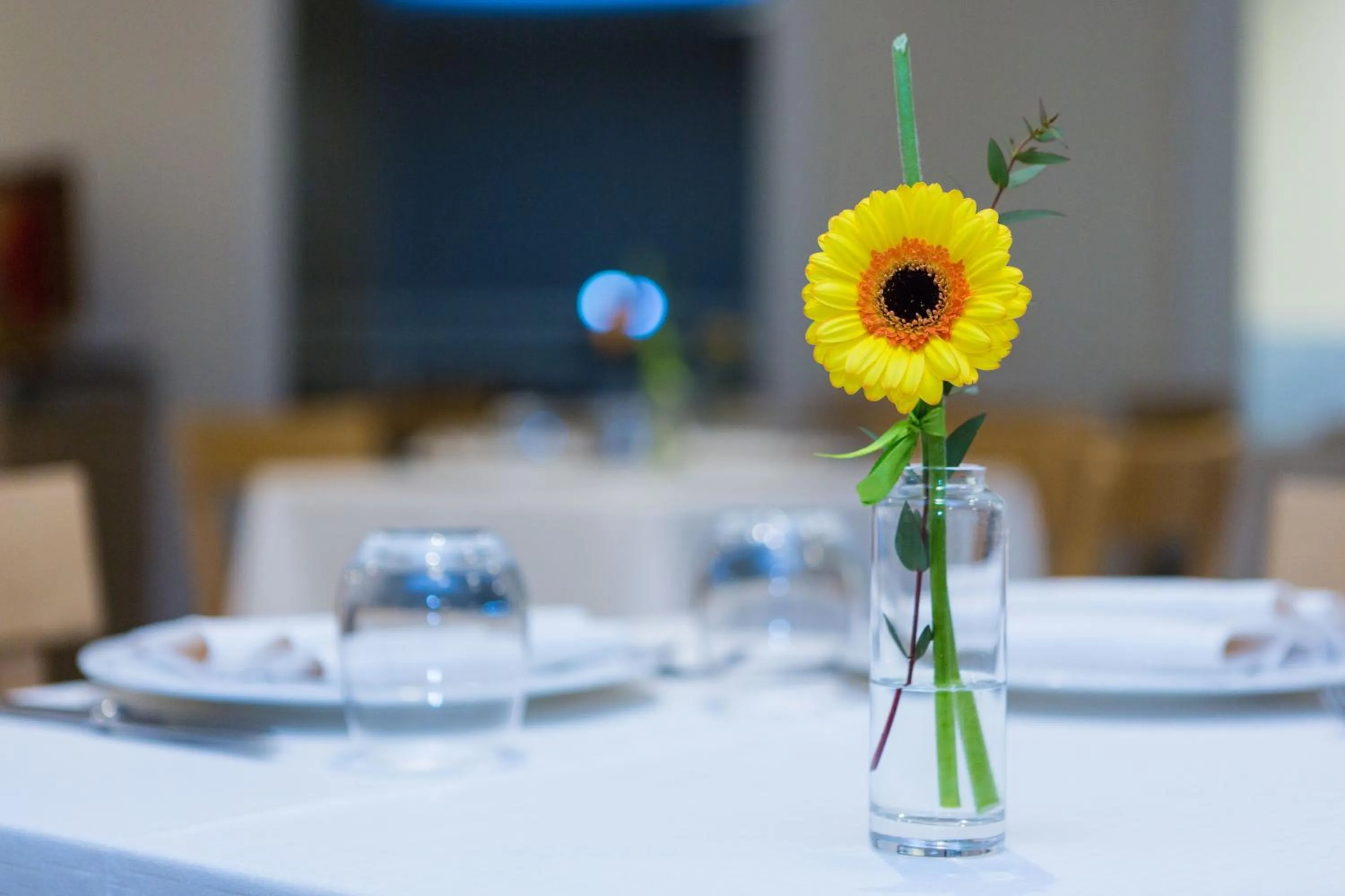 Dining area in Hotel Mediterraneo