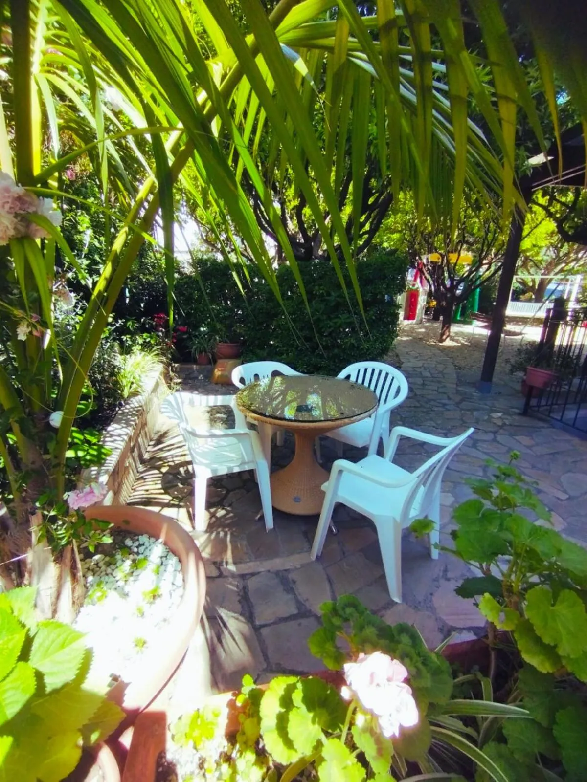 Garden in Hotel Bellavista