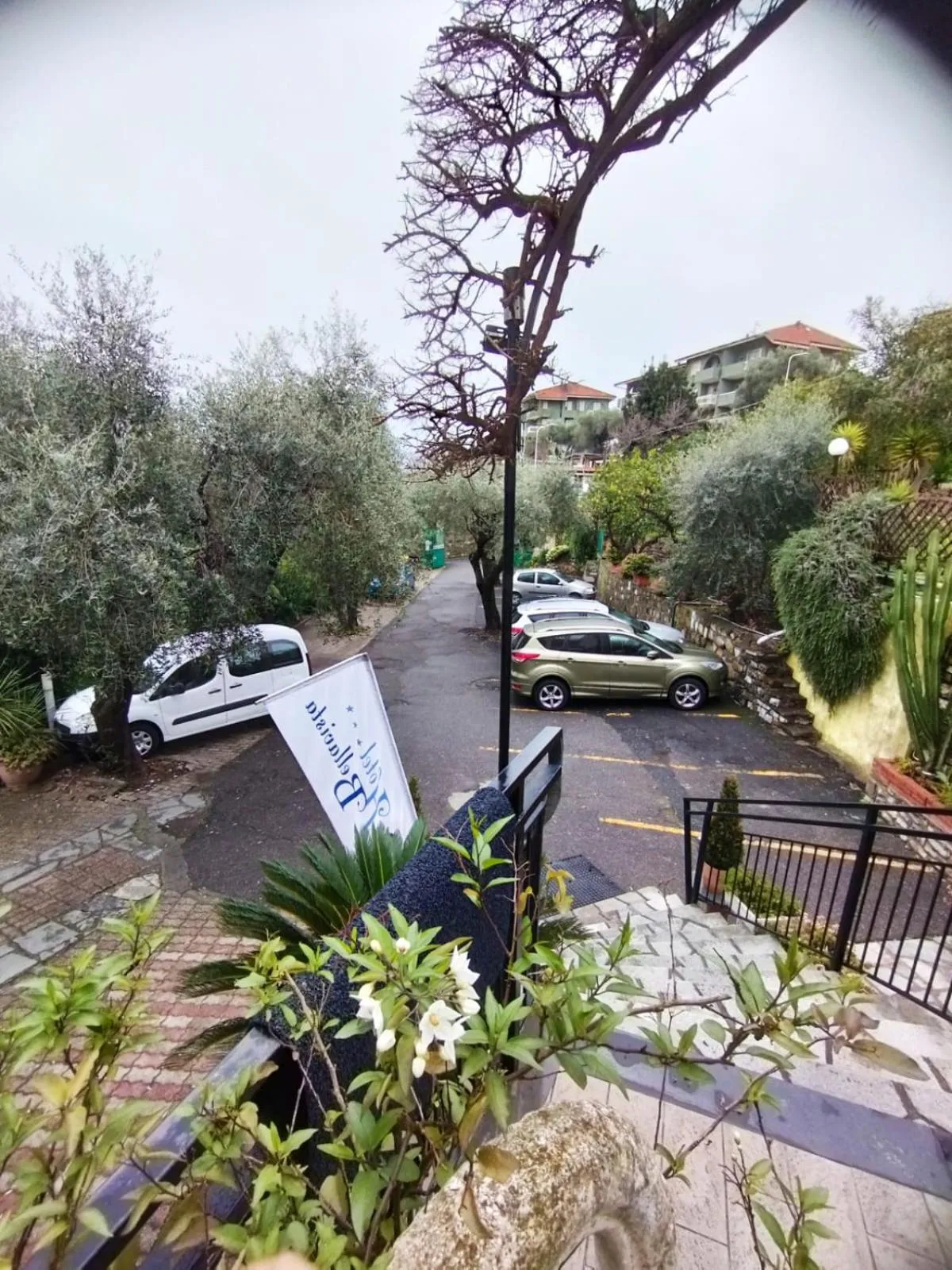 Garden view in Hotel Bellavista