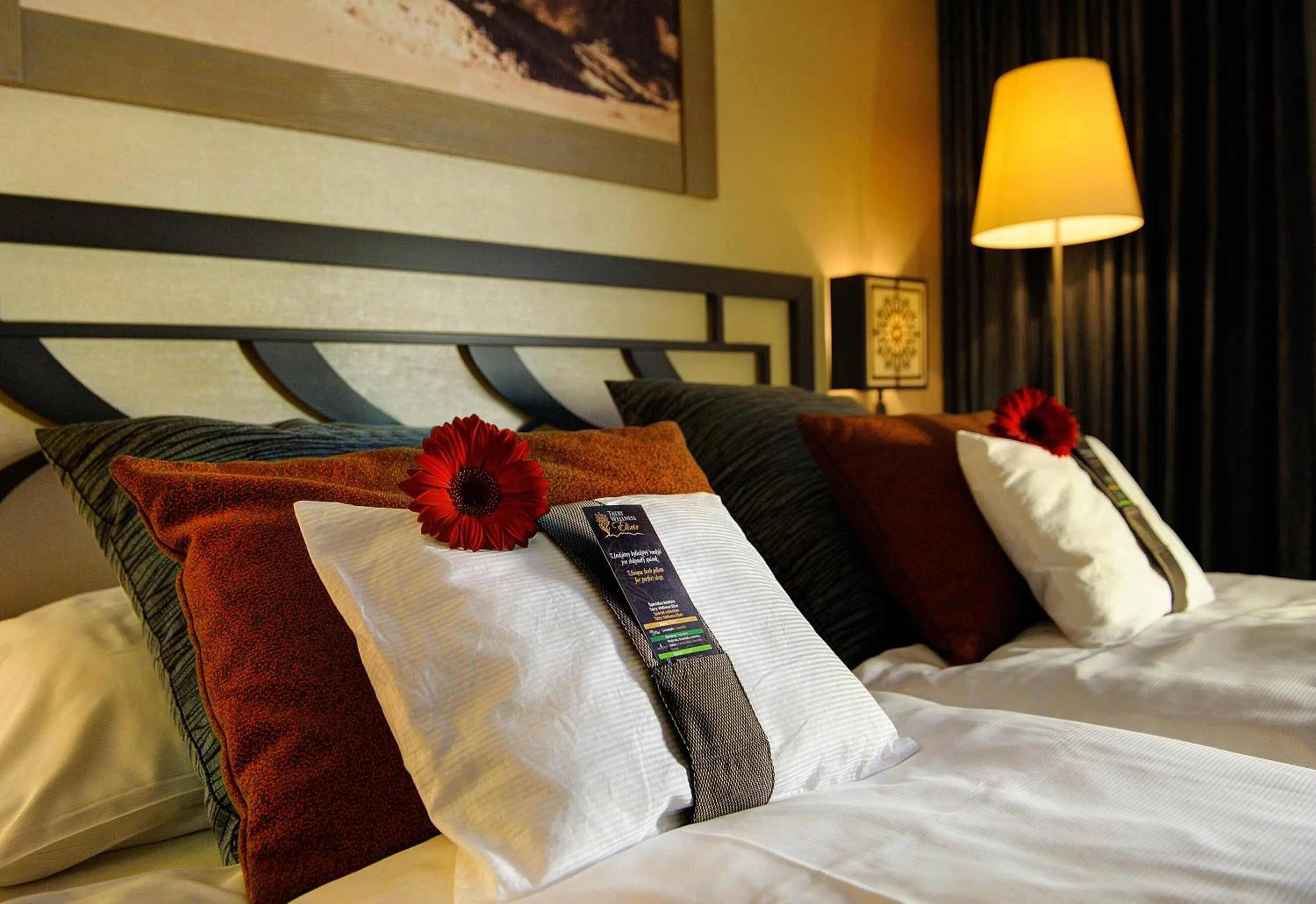 Bed in Hotel Grand Jasná