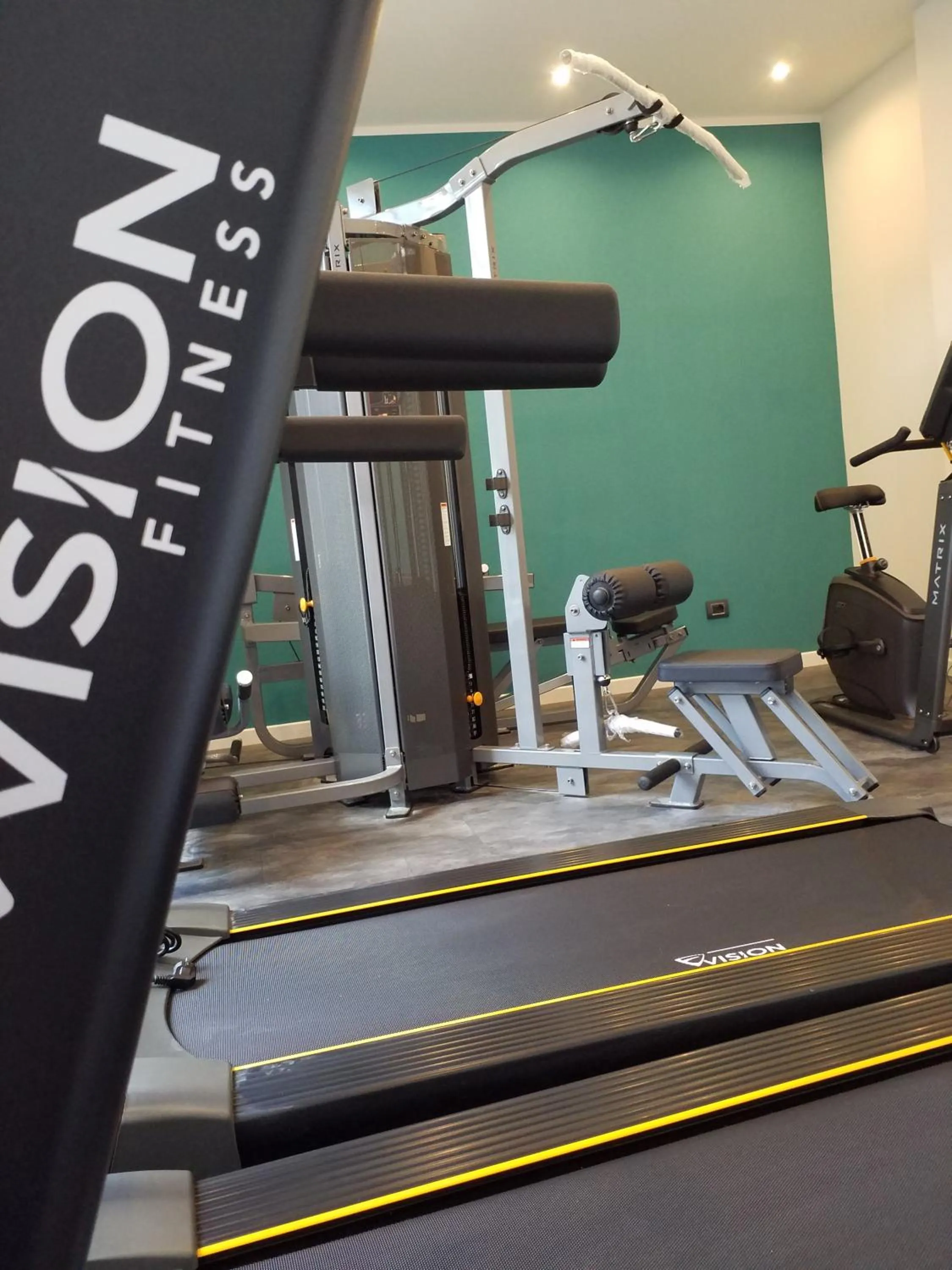 Fitness centre/facilities in Hotel Michelangelo Palace & SPA