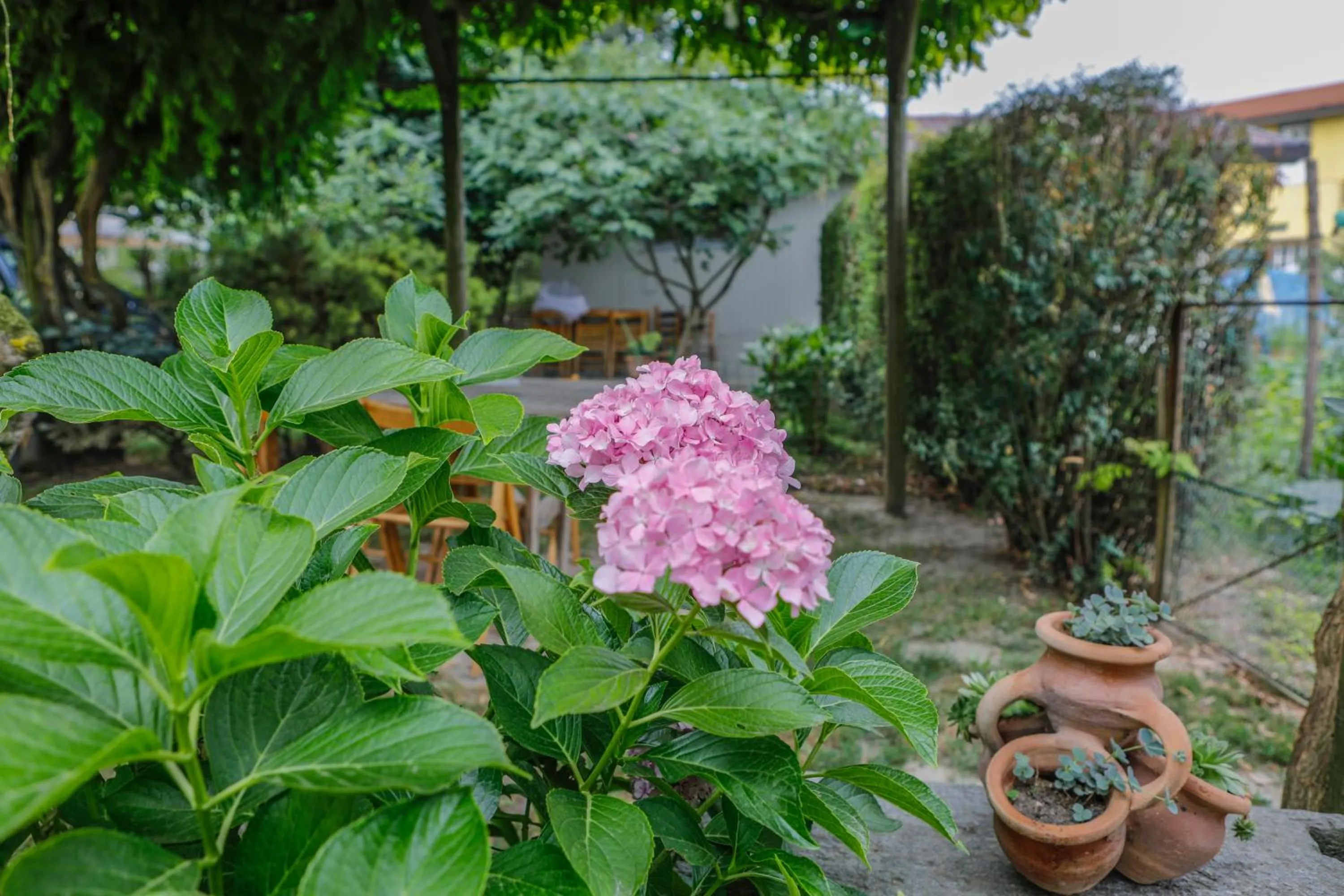 Garden in Il Germano Reale