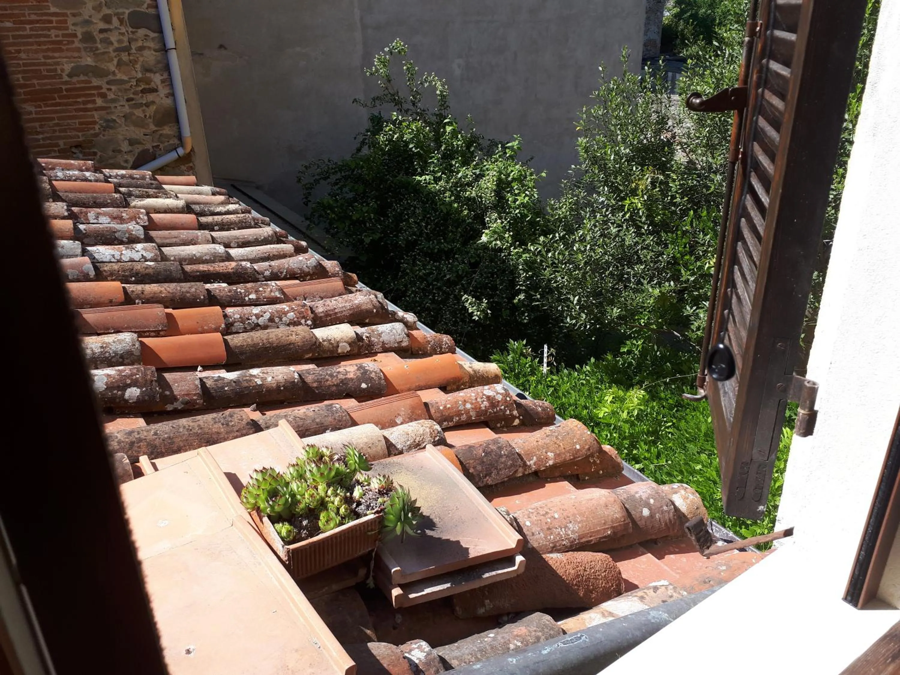 Dolce Rosa ♡ Centro Storico