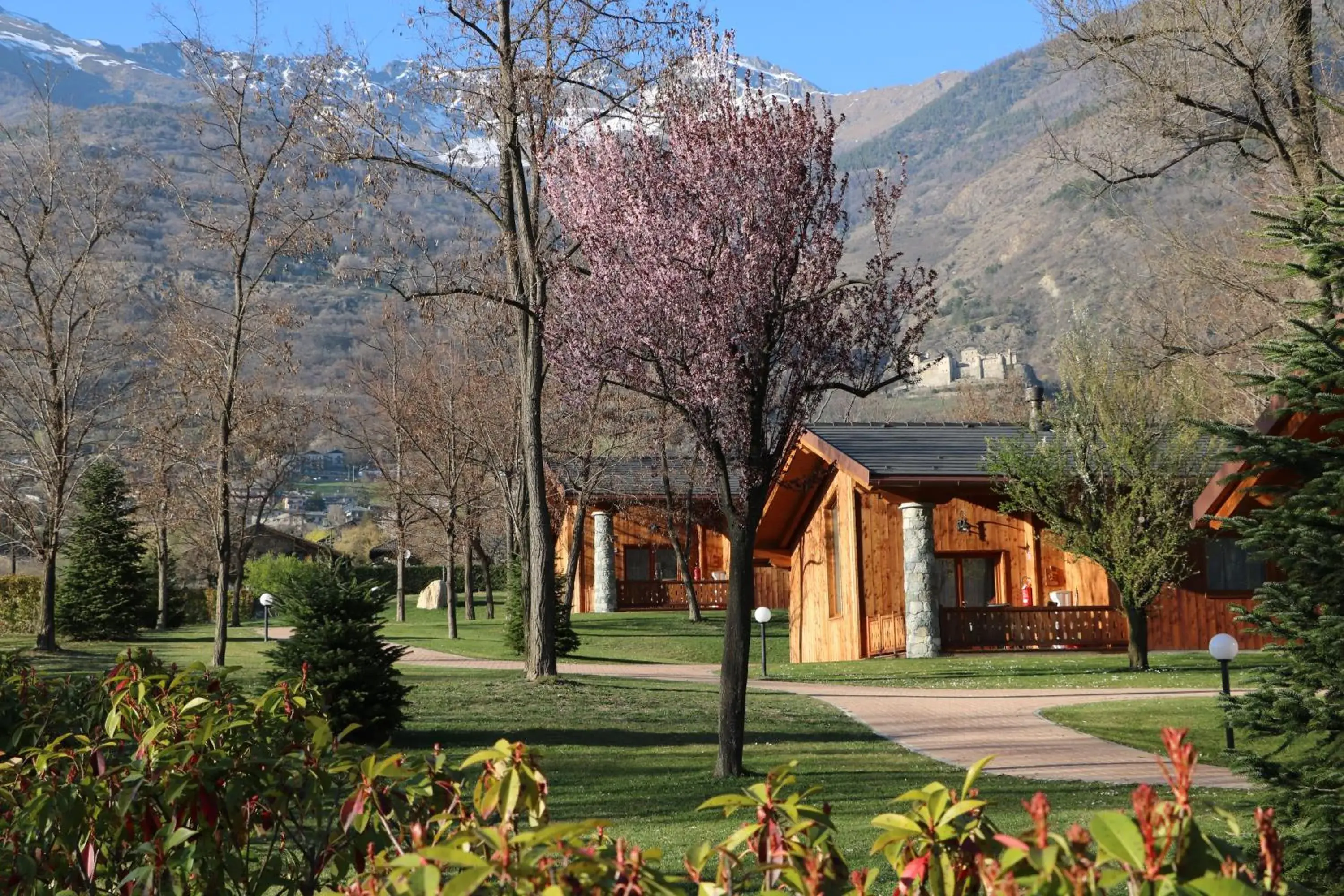 Lazy Bee Camping Village Lazy Bee Camping Village
