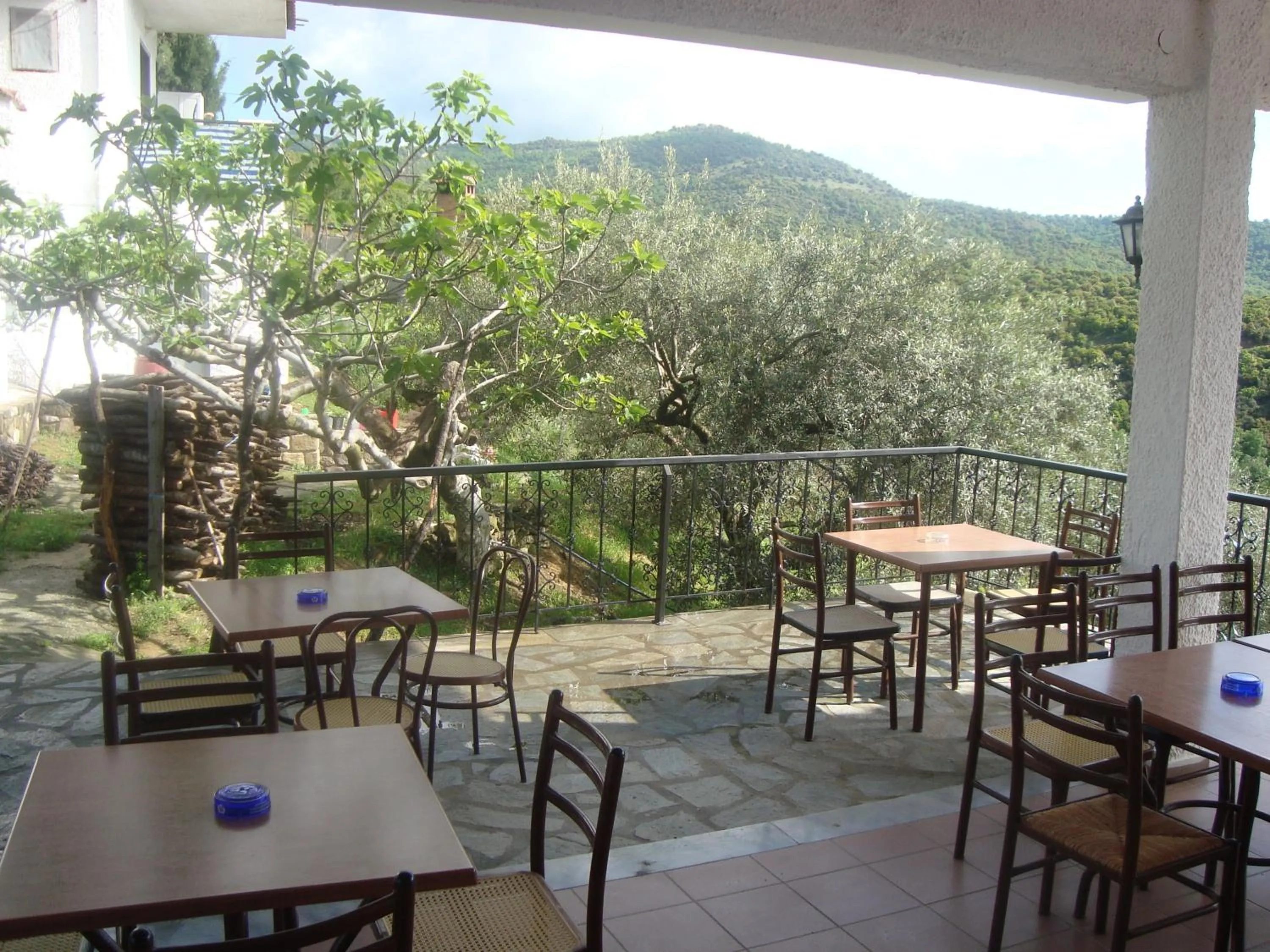 Restaurant/places to eat in Guesthouse Arsenis