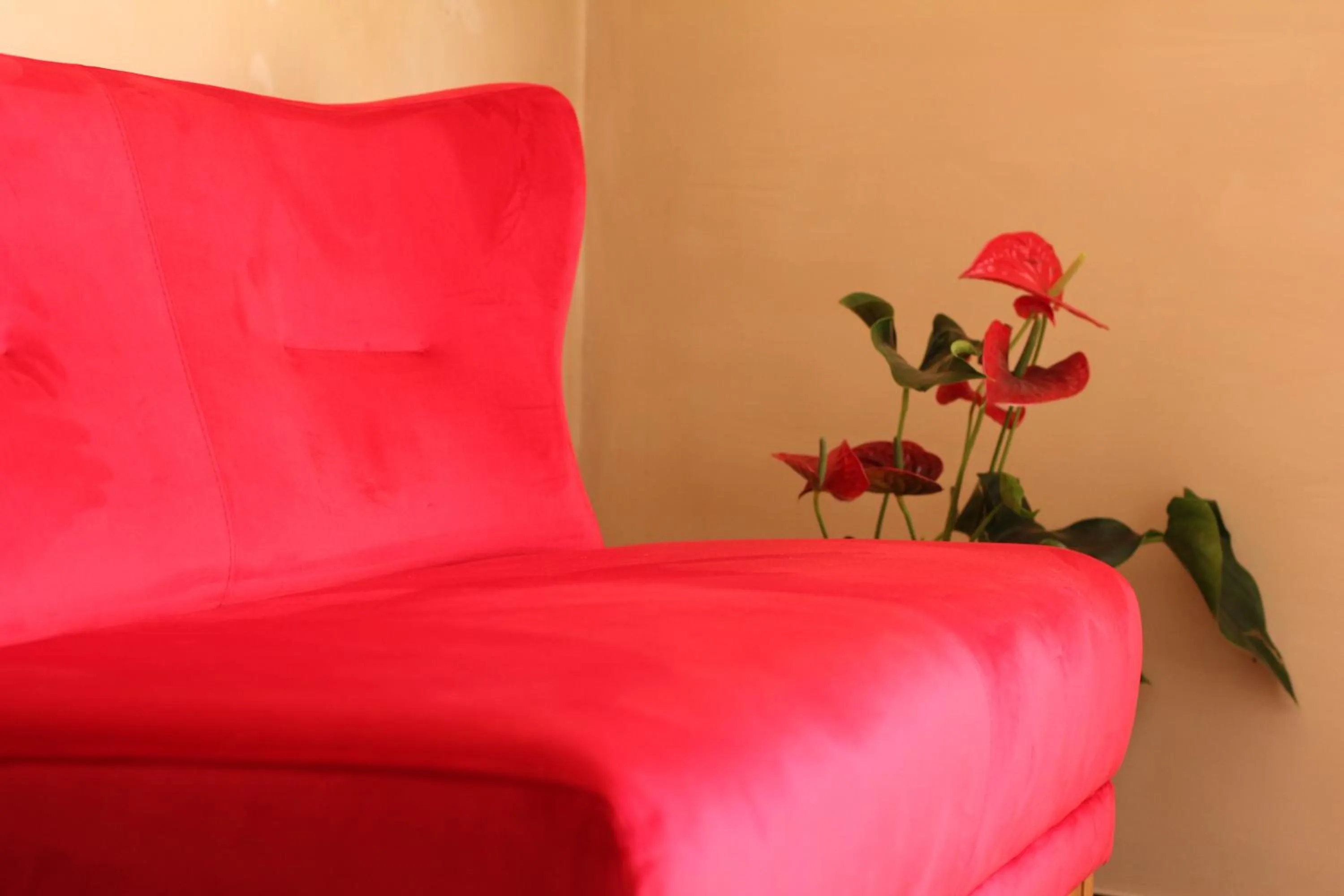 Lobby or reception in My Travel House