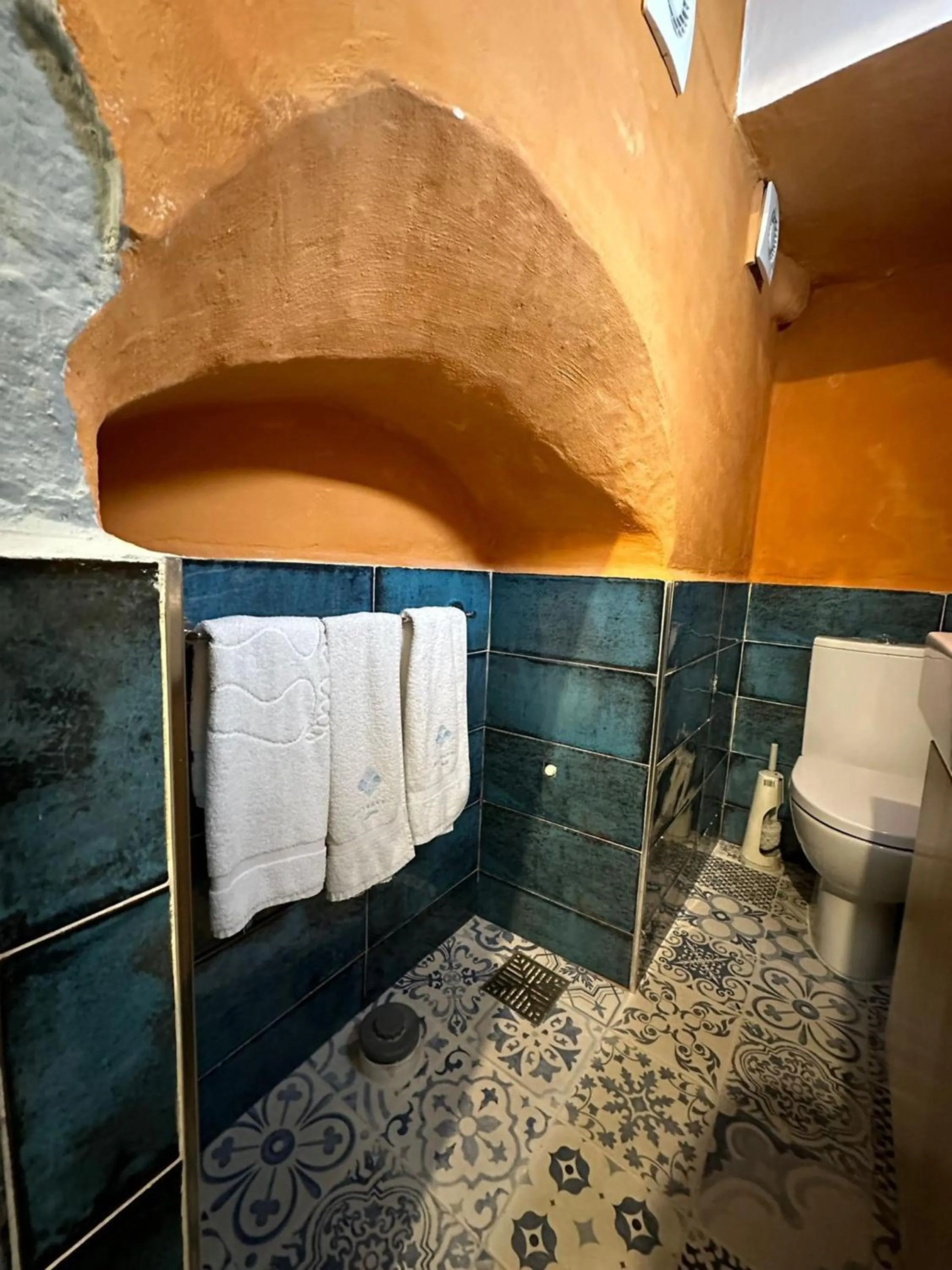 Toilet in My Travel House