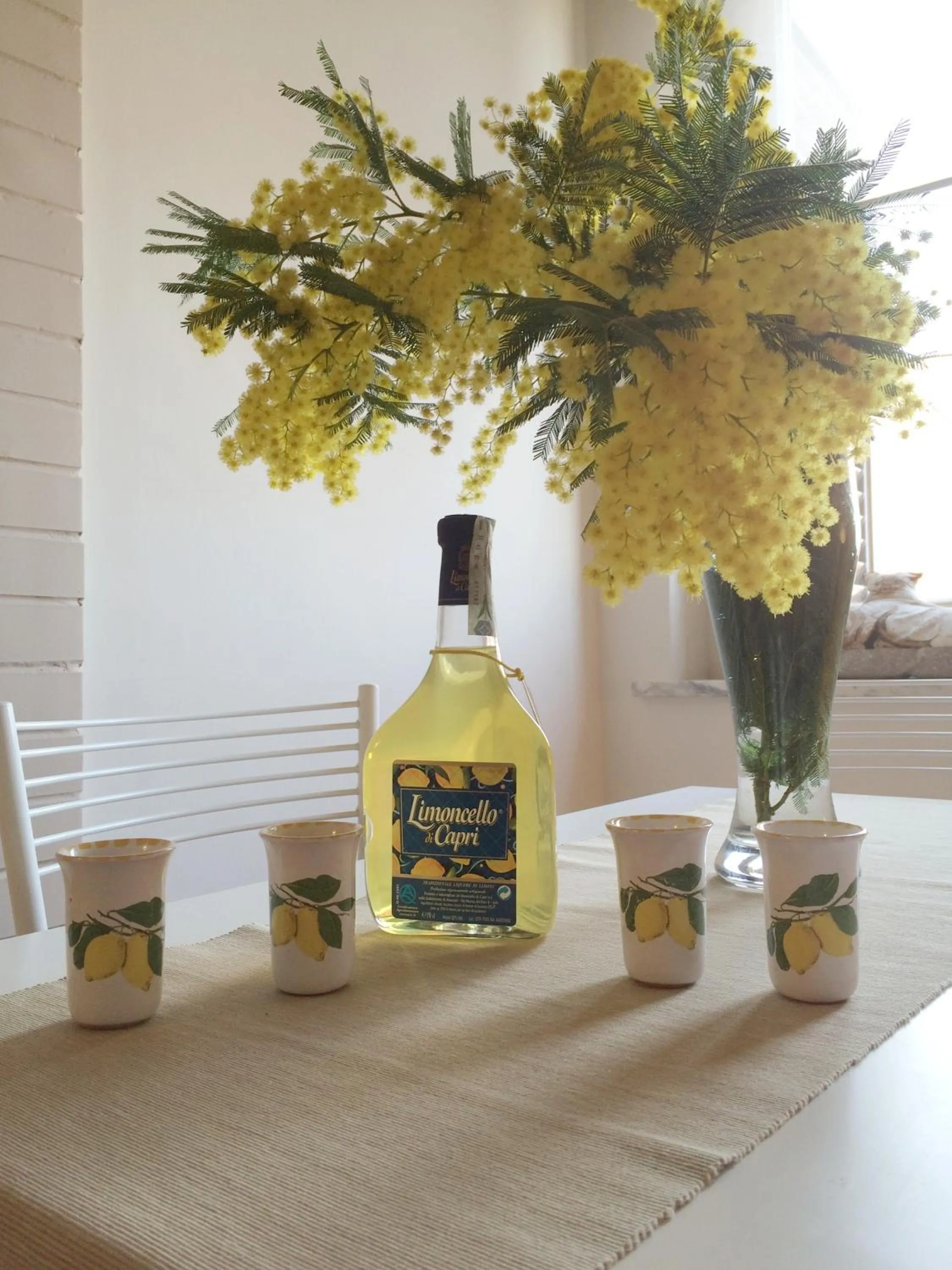 Vesuvio House appartamento indipendente e centrale