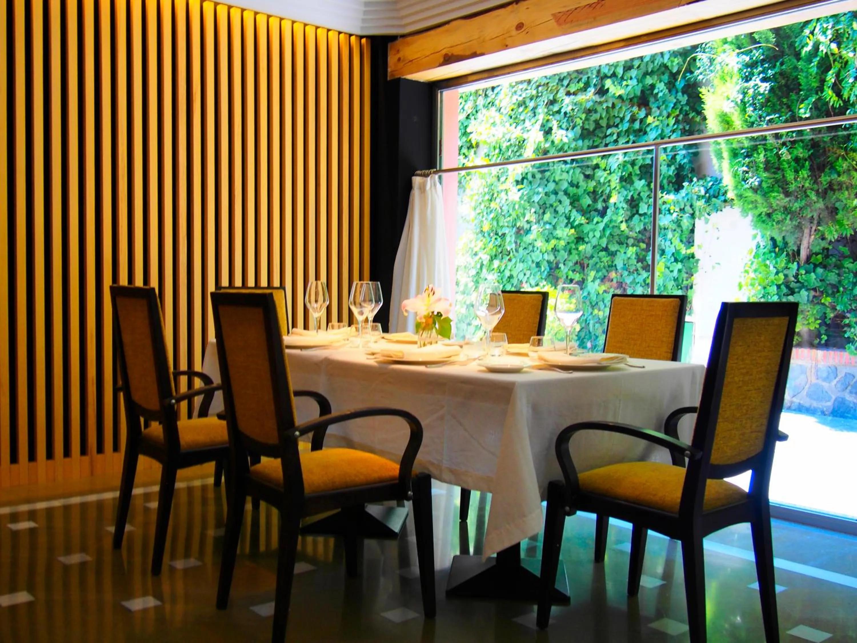 Lounge or bar in Hotel Las Yucas