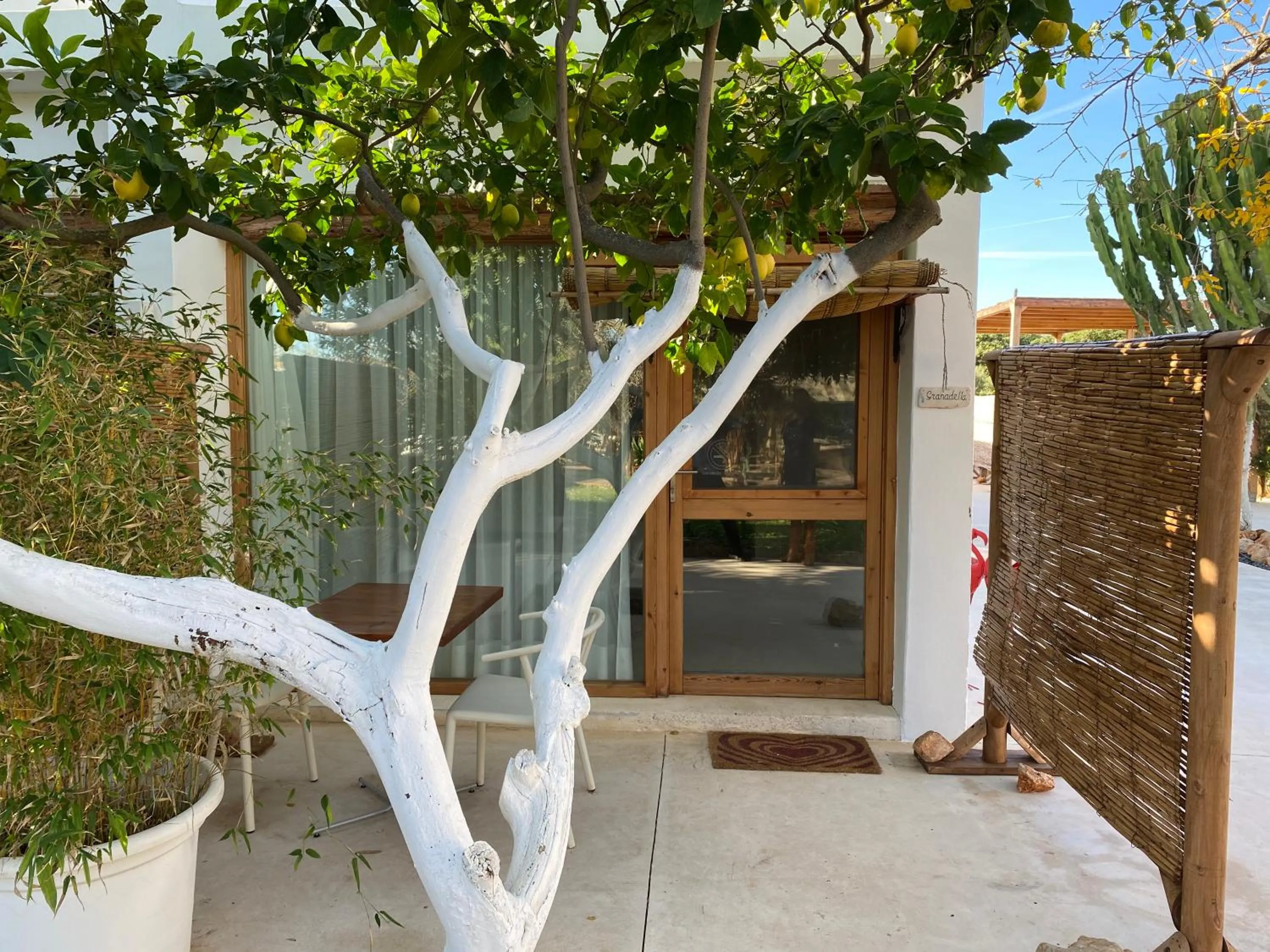 Day in Boho Suites Denia