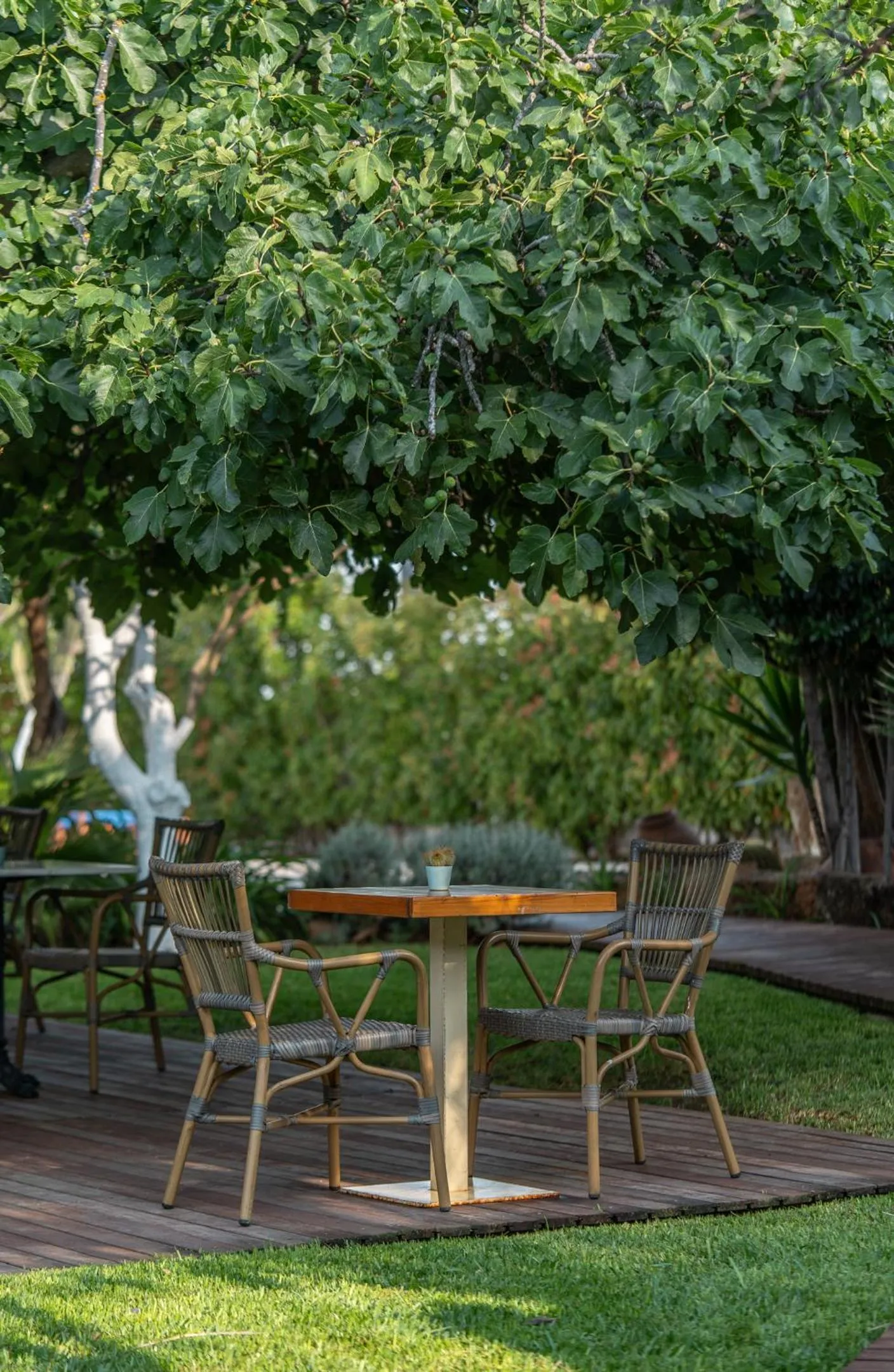 Off site in Boho Suites Denia