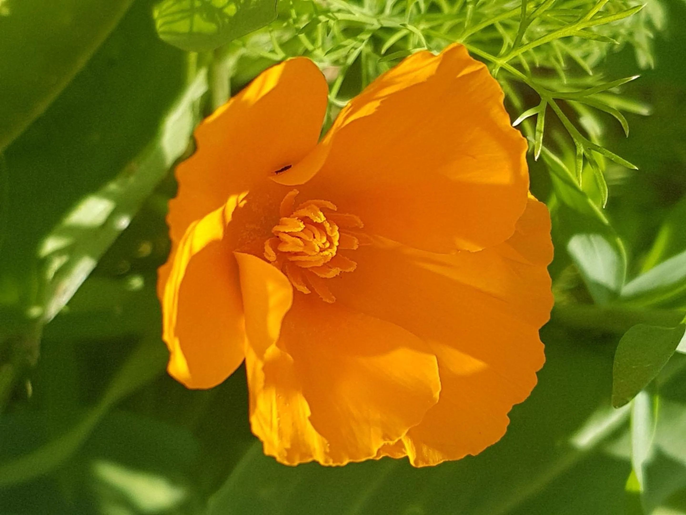 Garden in Hotel Al-Ándalus Peal, en Cazorla Comarca