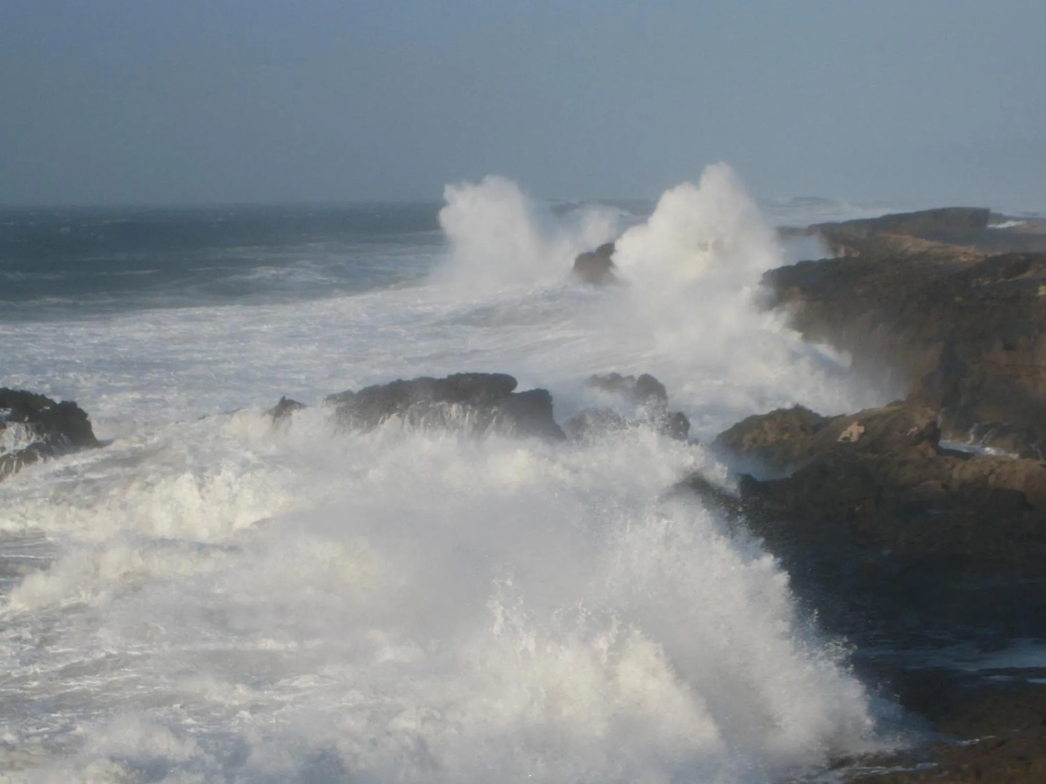 Area and facilities in Dar Ness
