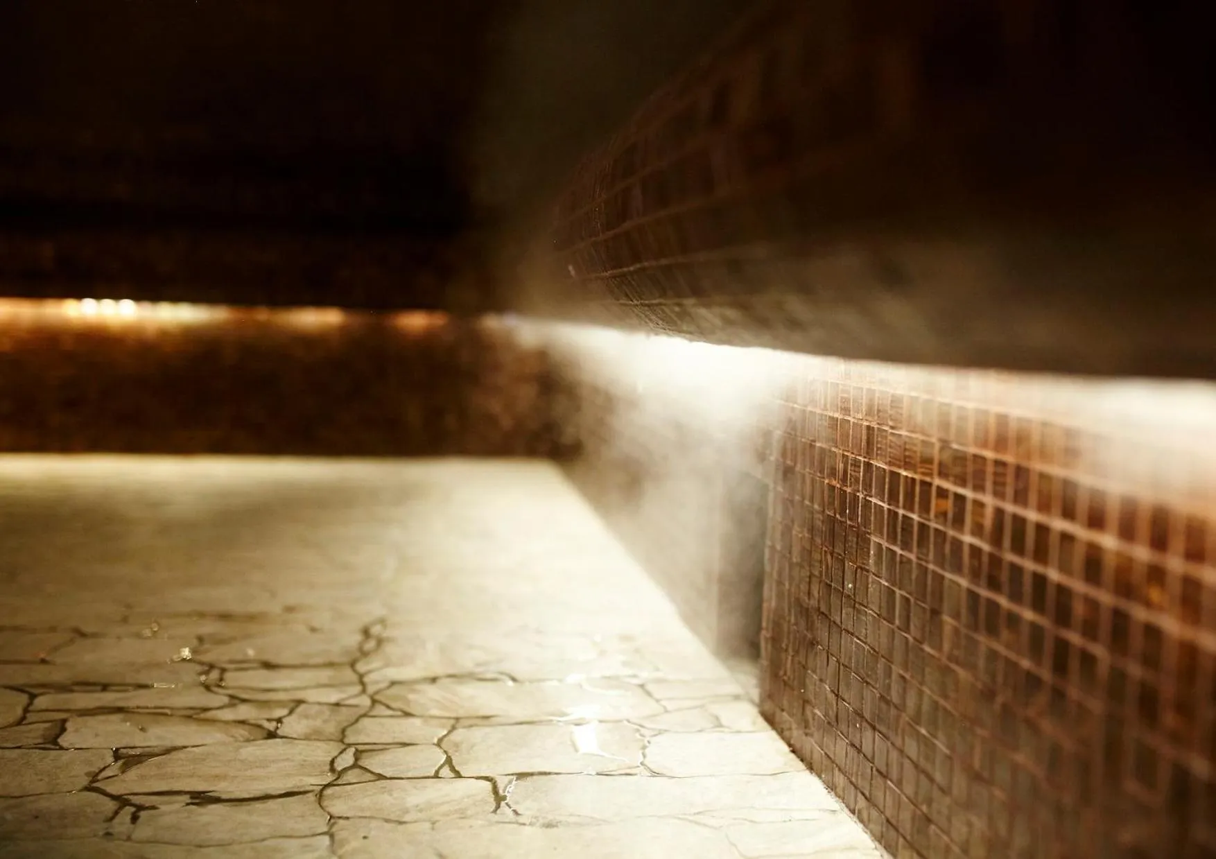 Spa and wellness centre/facilities in Vestina Wellness & SPA Hotel