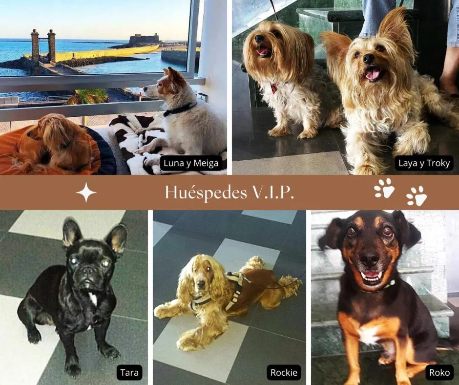 Property building in Hotel Miramar