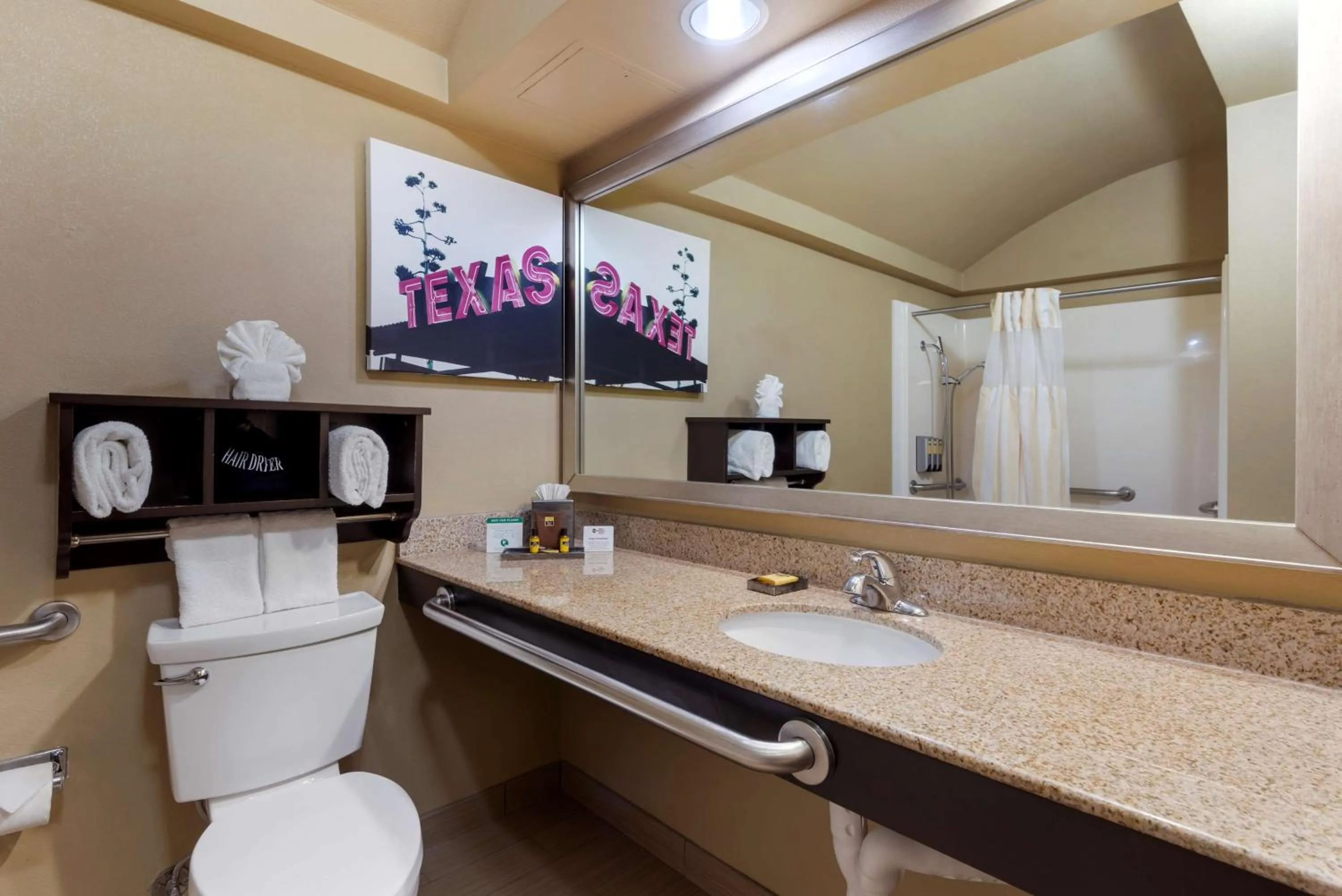 Bathroom in Best Western Plus Arlington North Hotel & Suites
