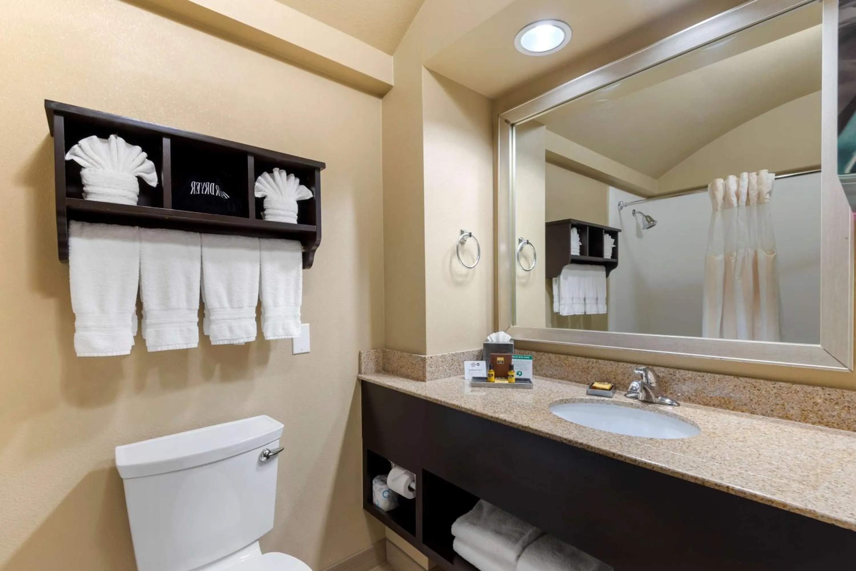 Bathroom in Best Western Plus Arlington North Hotel & Suites