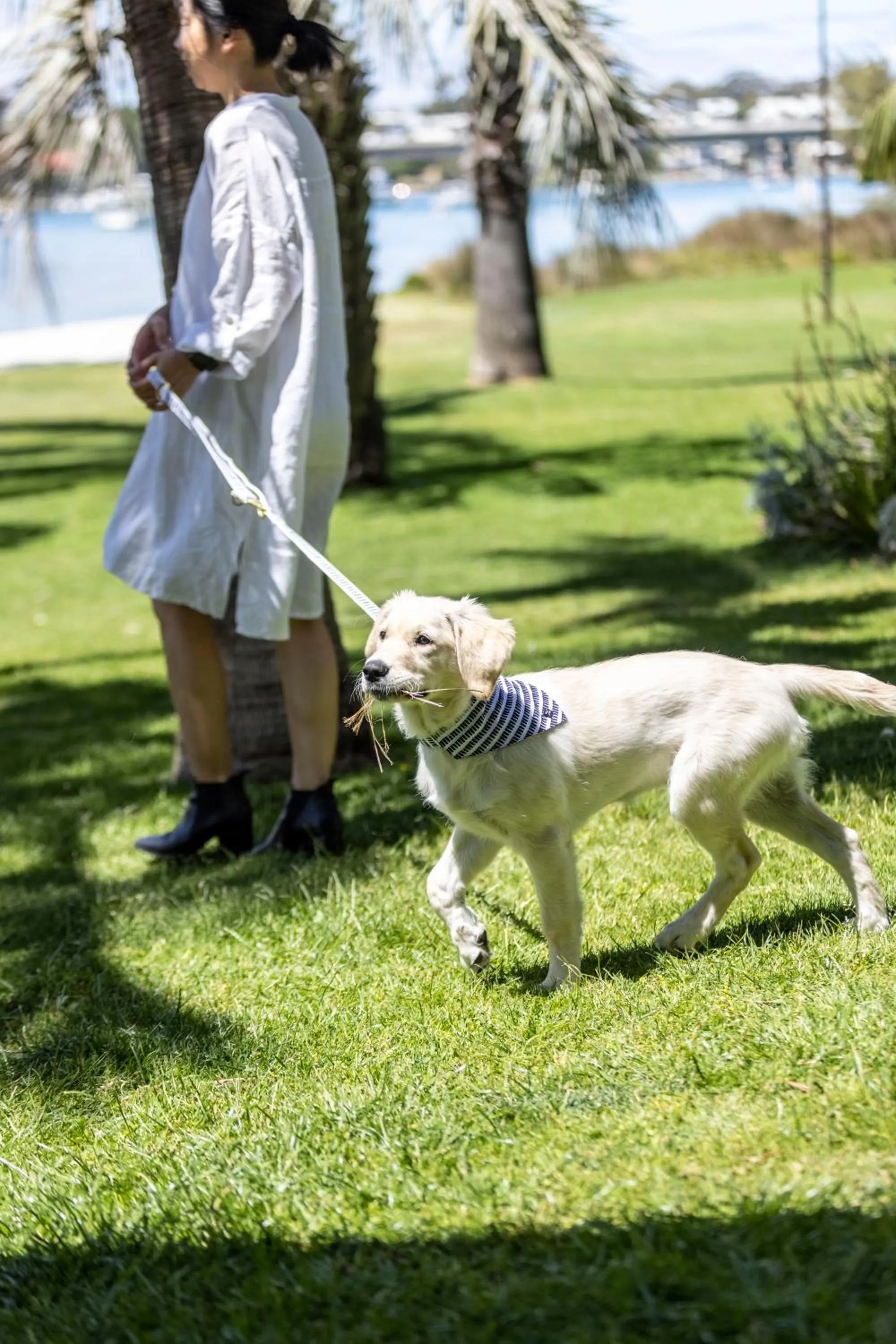 Natural landscape in Pier 21 Riverside Apartment Hotel