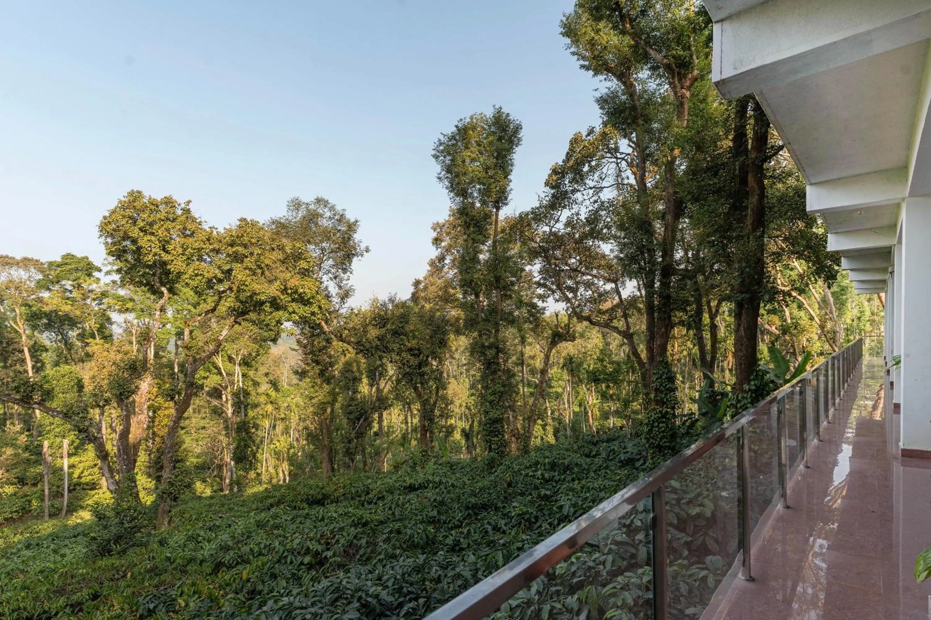 Lobby or reception in Itsy Hotels Jammabane Cottage, 5 Minutes To Mountain View Coffee Plantation