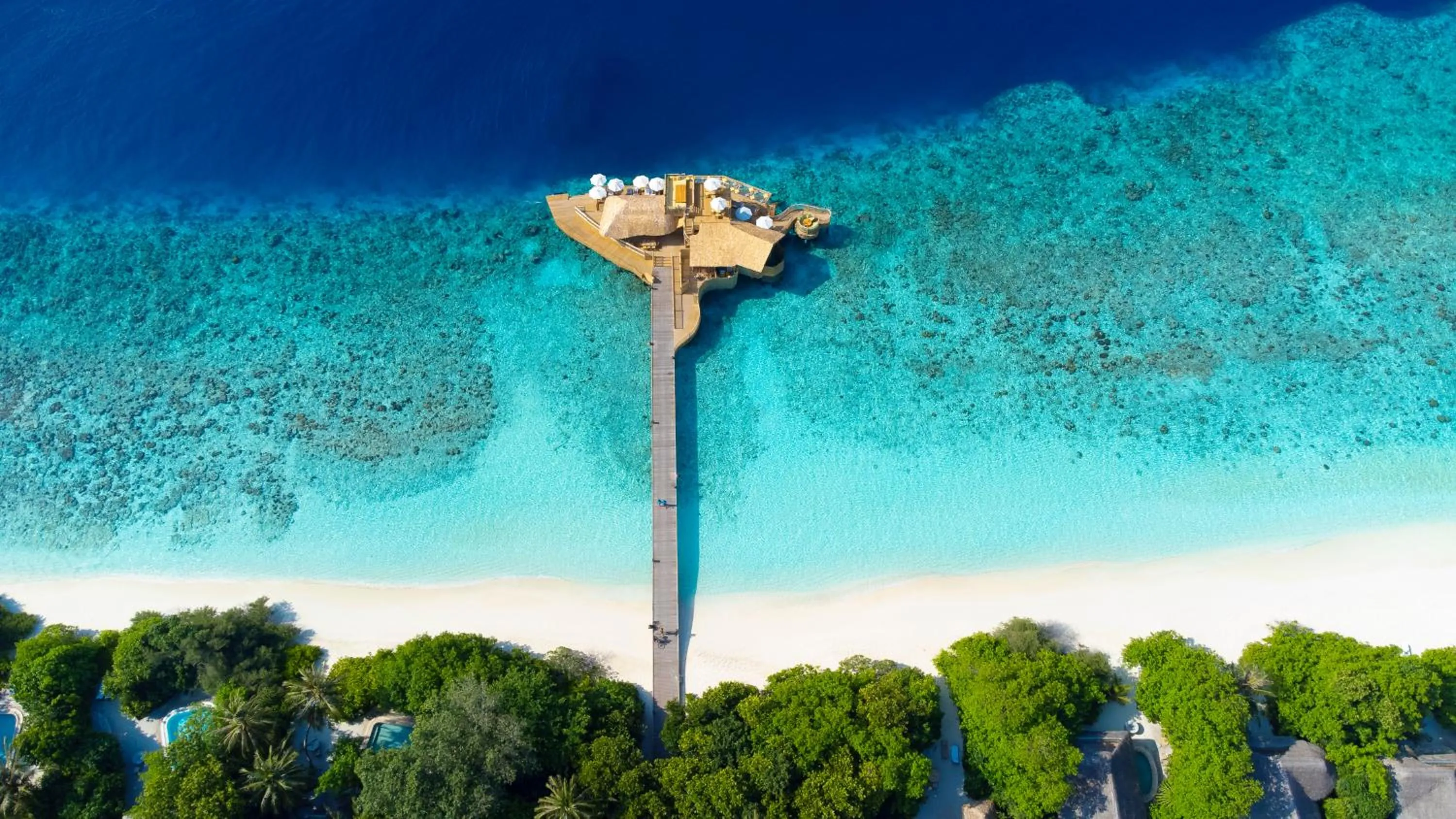 Restaurant/places to eat in Soneva Fushi