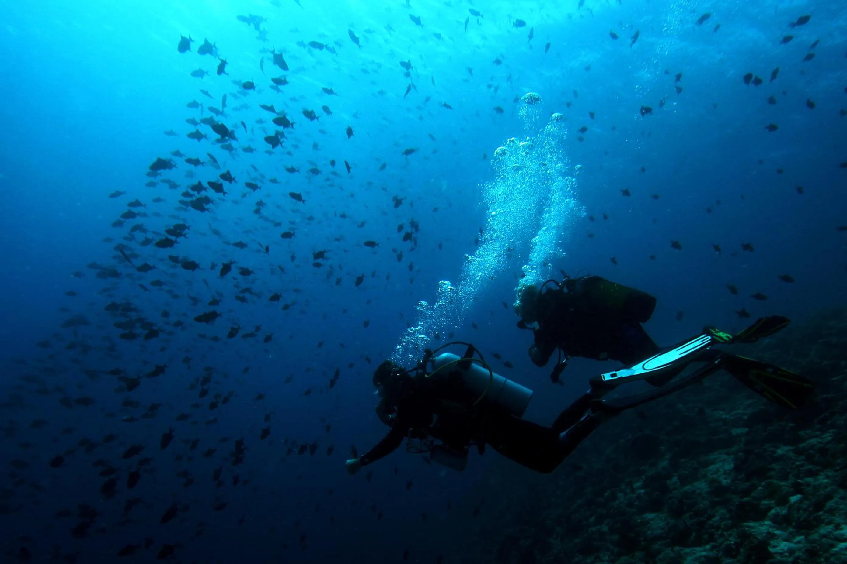 Diving in Soneva Fushi