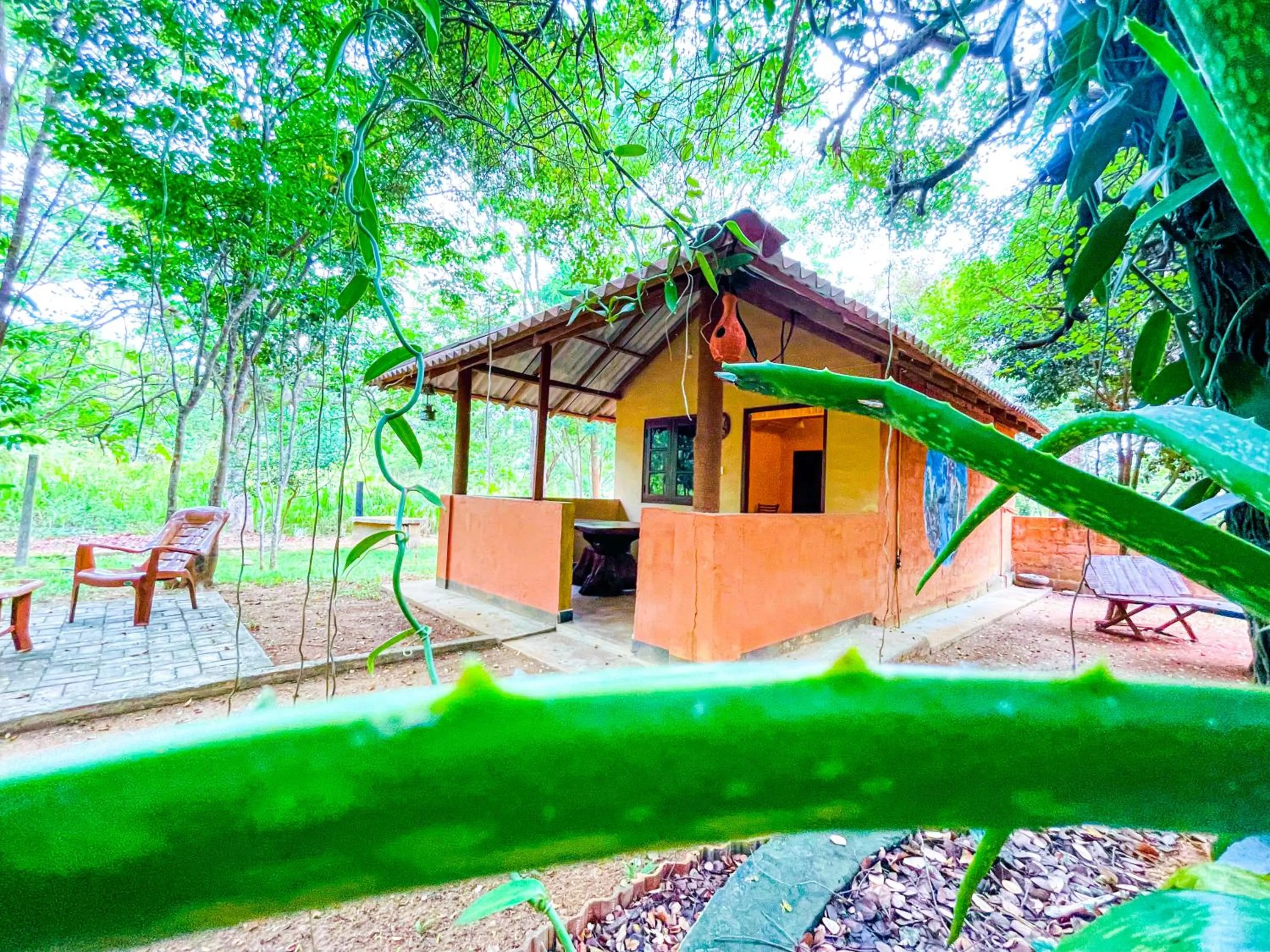 Property building in Hotel Niyagala Lodge Sigiriya