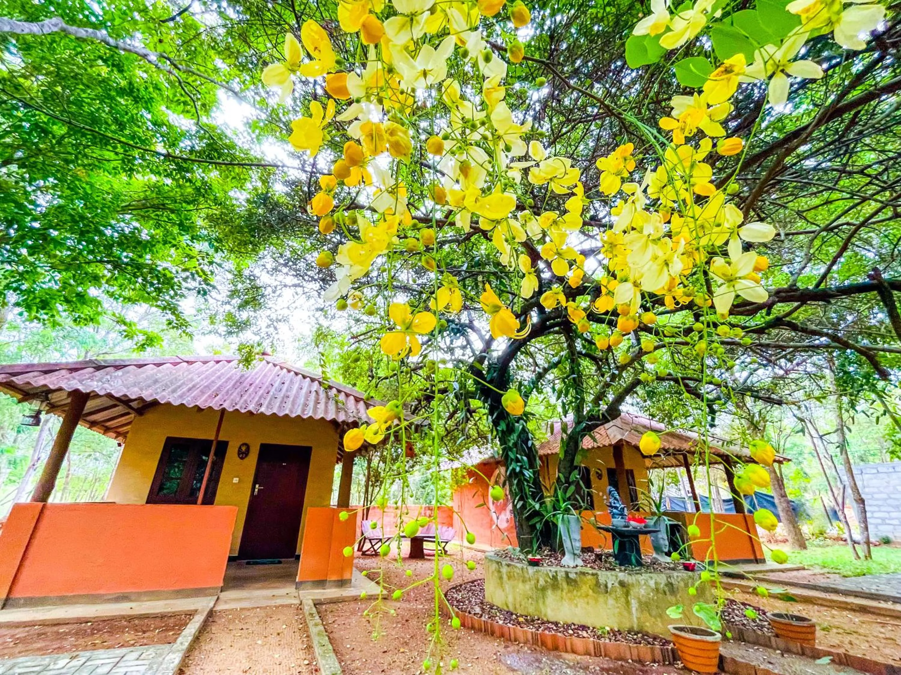 Property building in Hotel Niyagala Lodge Sigiriya