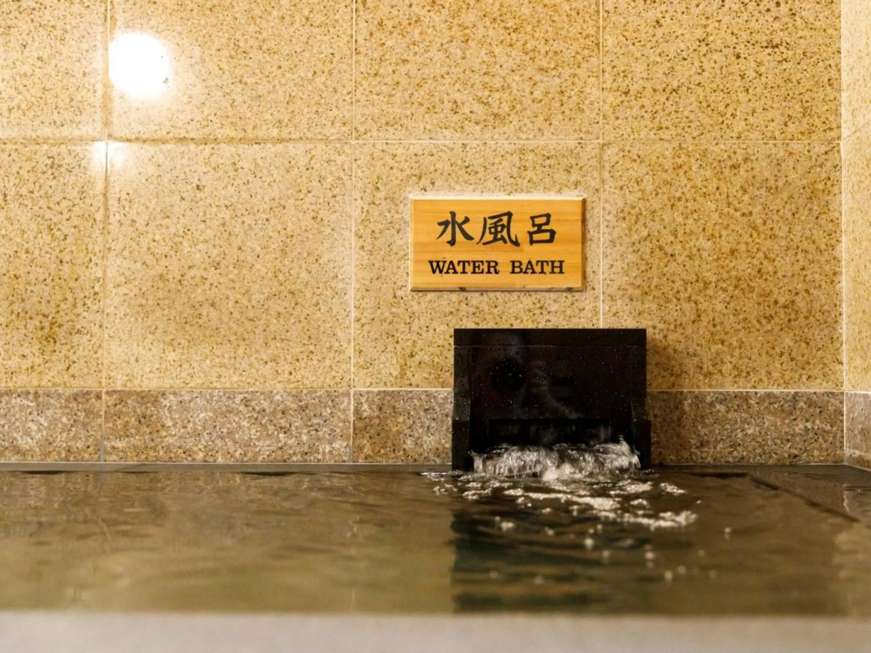 Public Bath in Miyazaki Lions Hotel