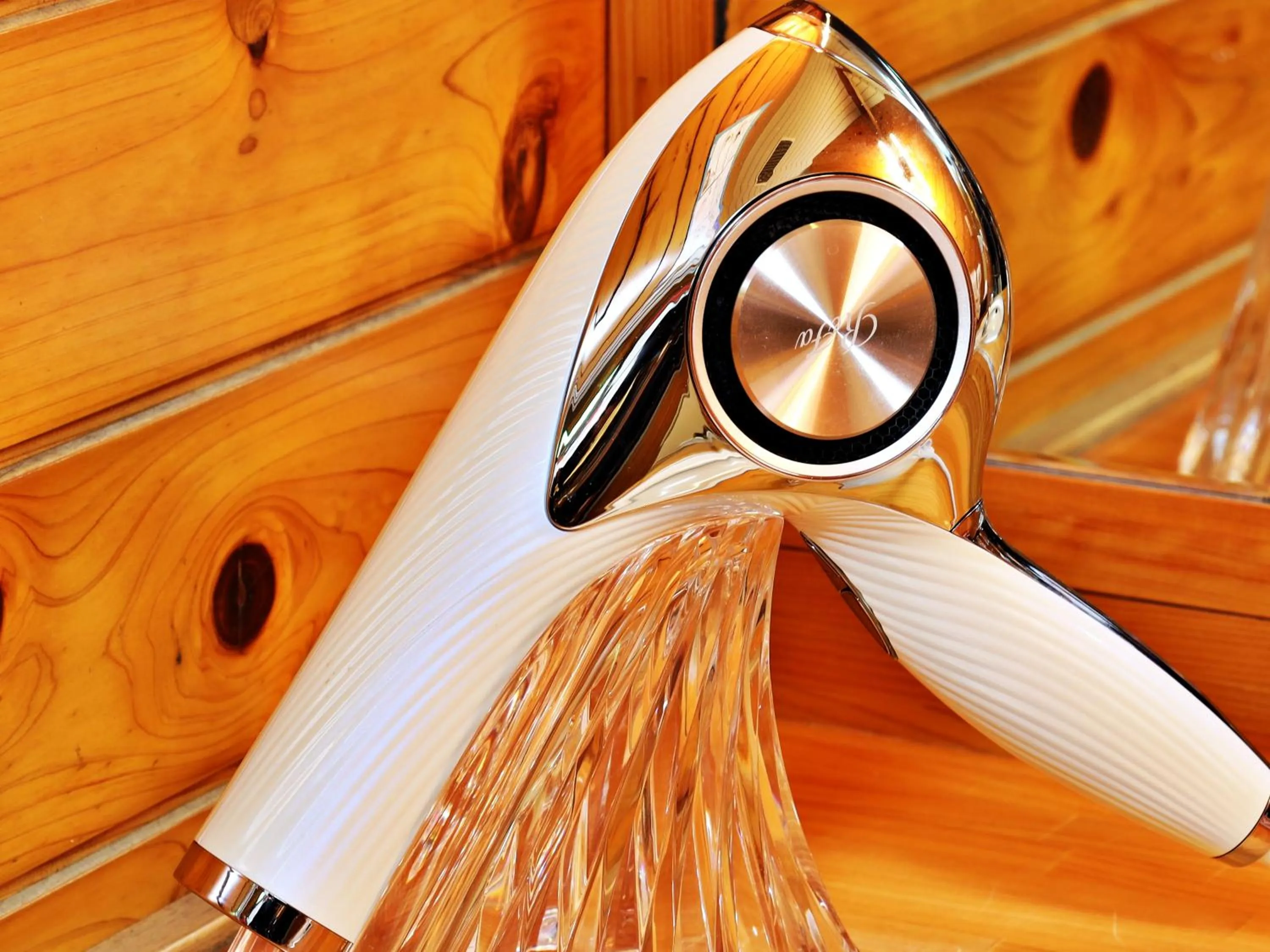 hair dryier in Miyazaki Lions Hotel