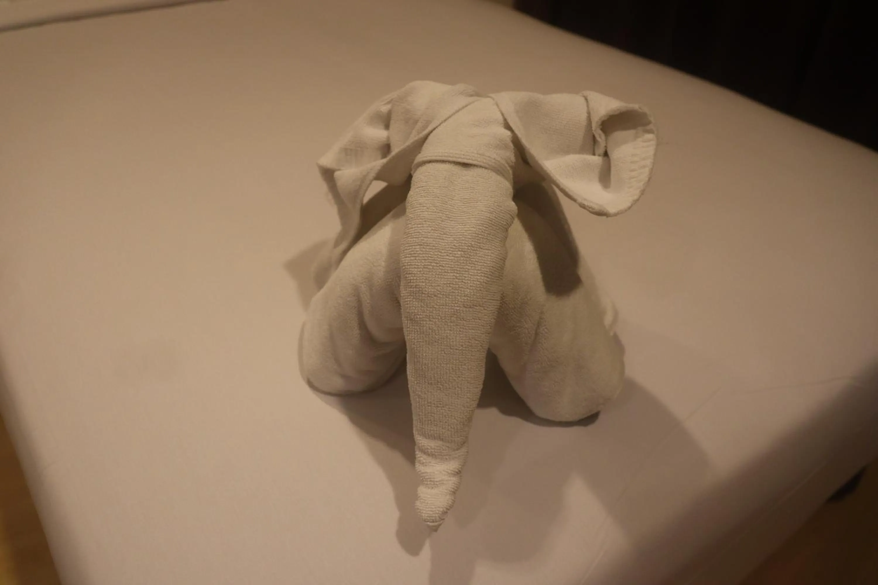 towels in Inn House- SHA Extra Plus