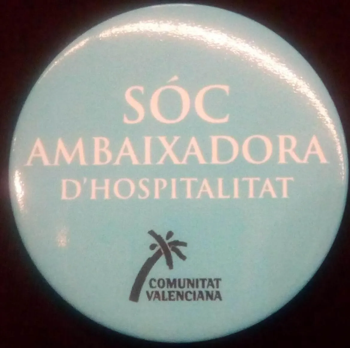 Hotel Costa San Antonio