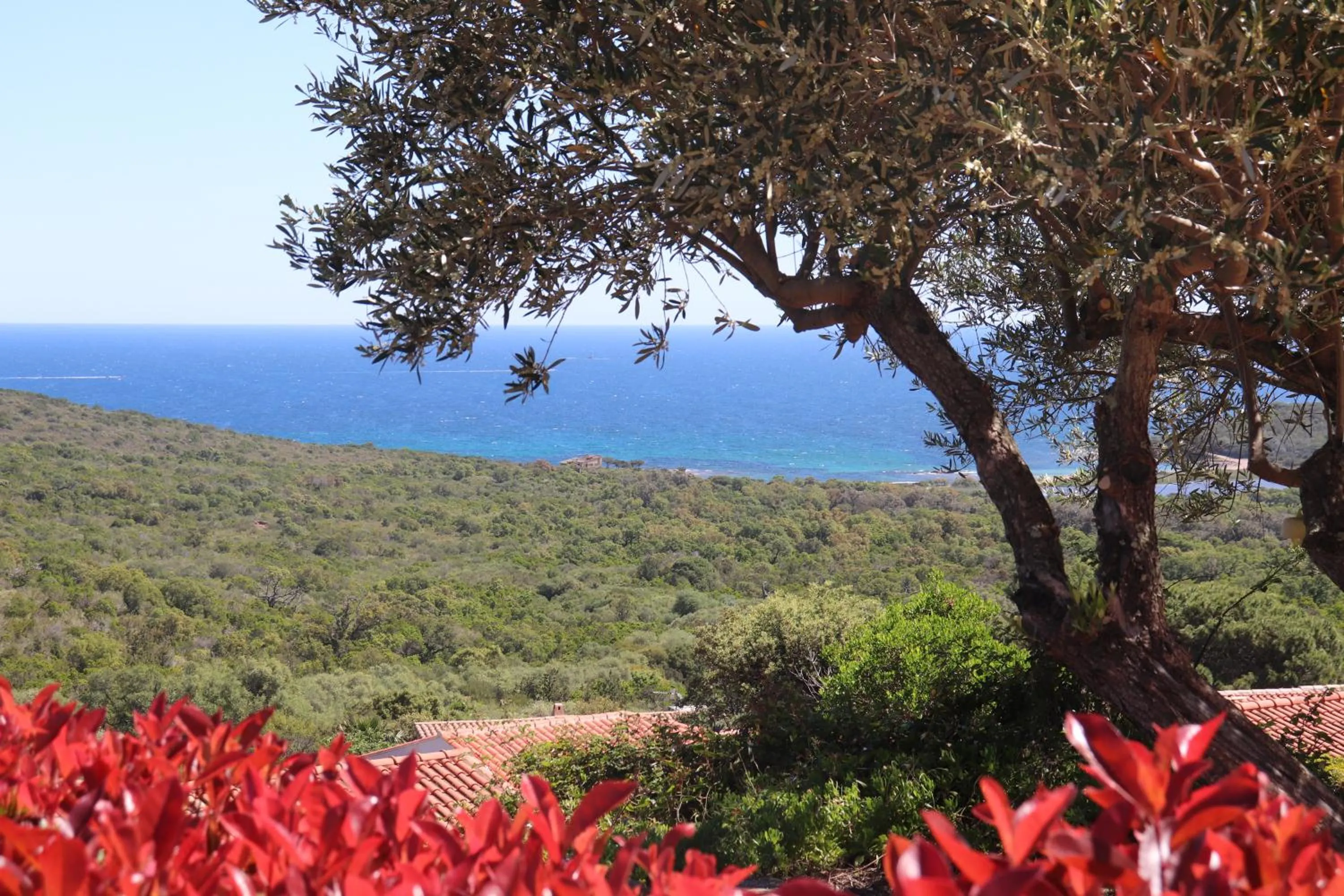 Résidence U Pirellu