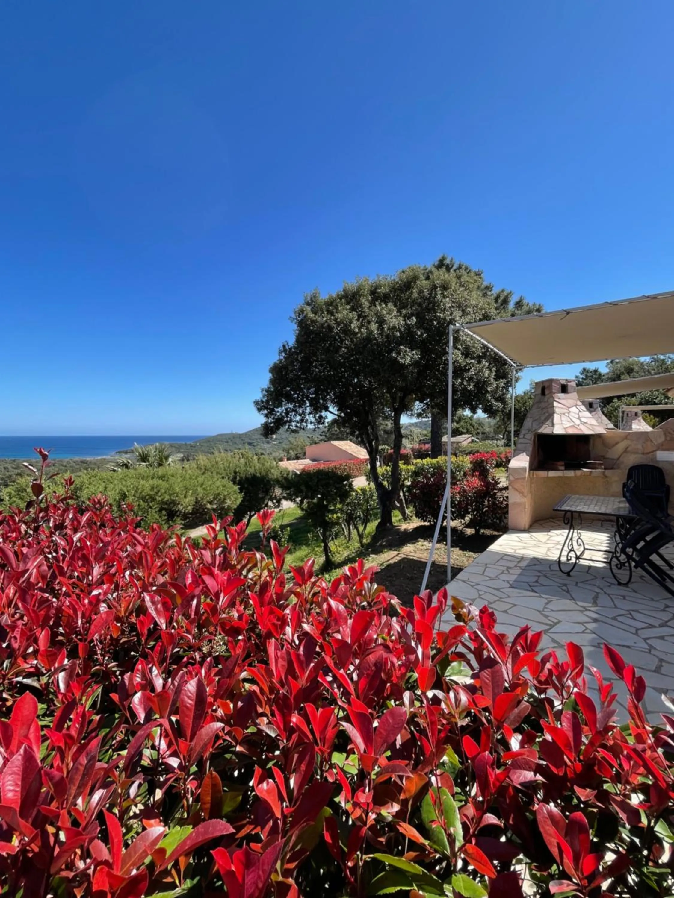 View (from property/room) in Résidence U Pirellu