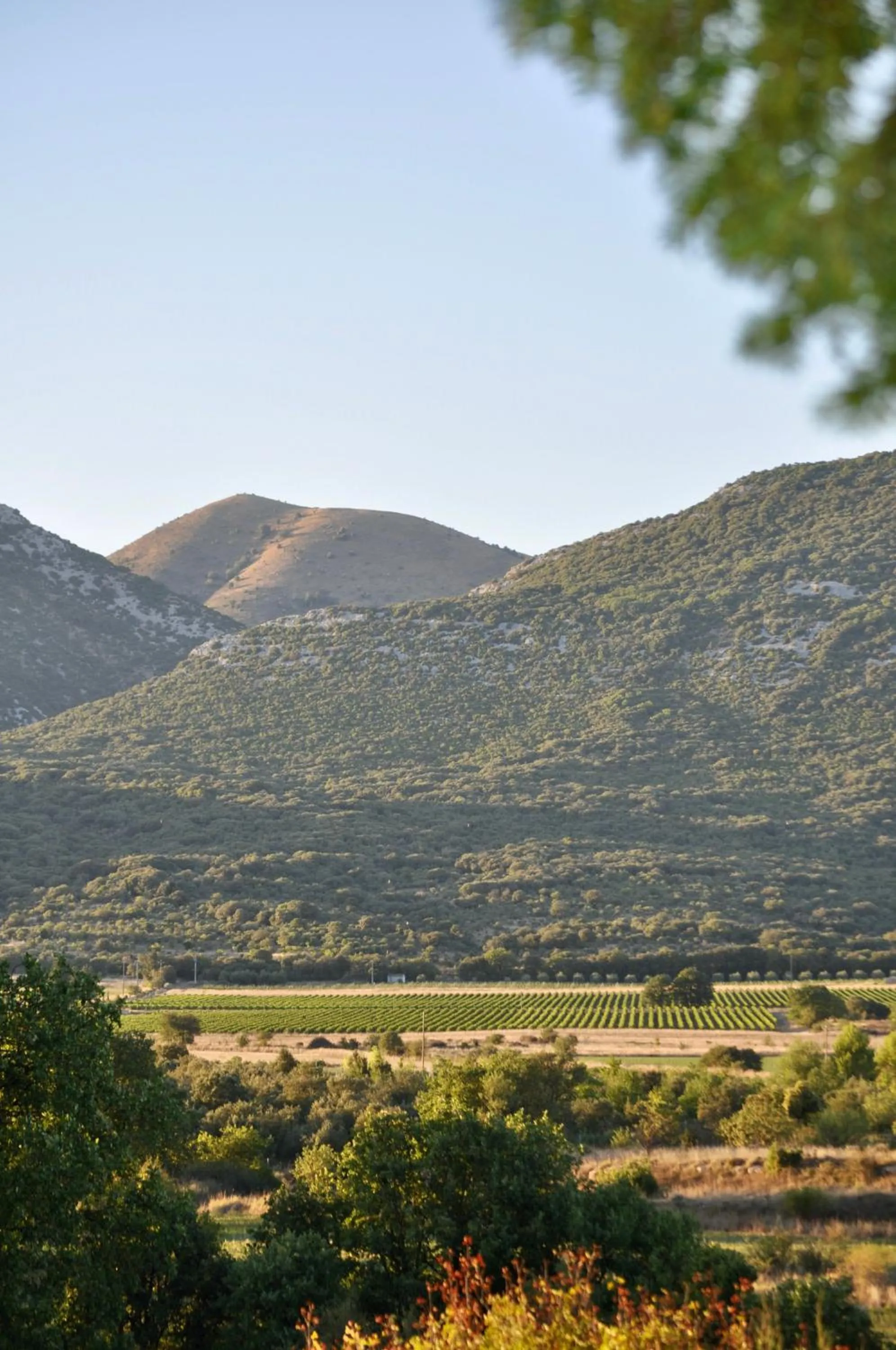 View (from property/room) in Domaine De Blancardy