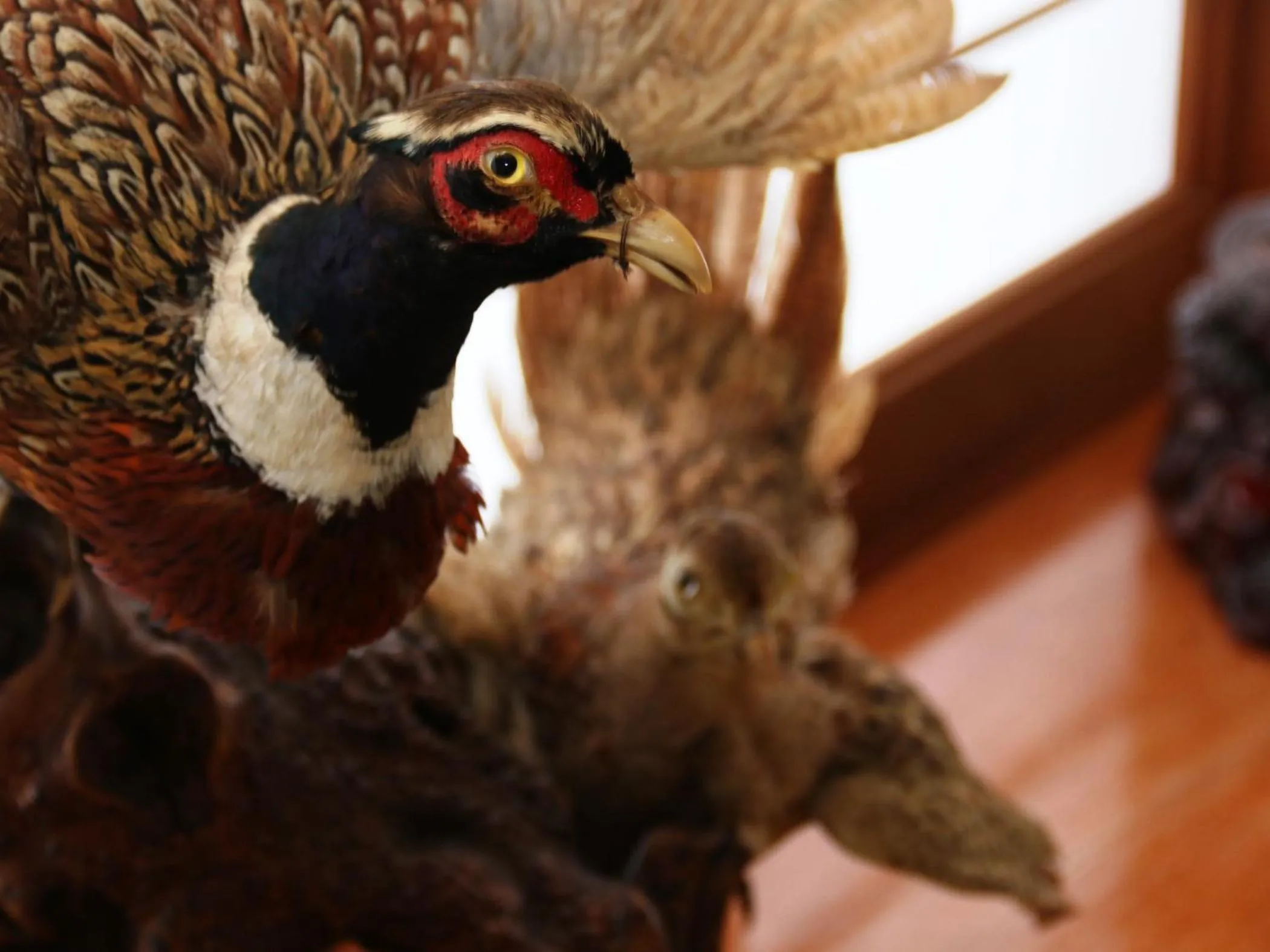 Decorative detail in Marumo Ryokan