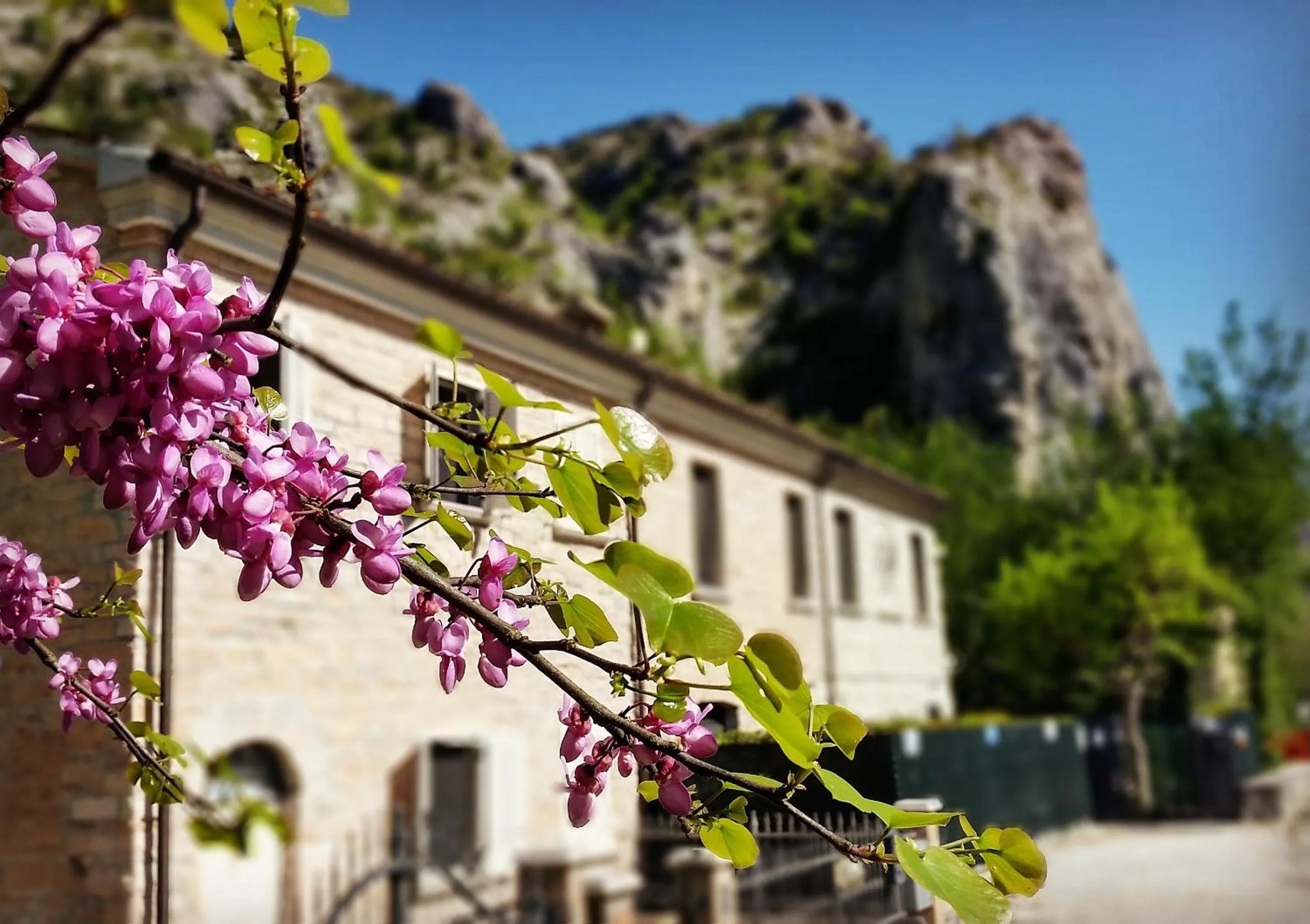 Property building in B&B Aquilegia