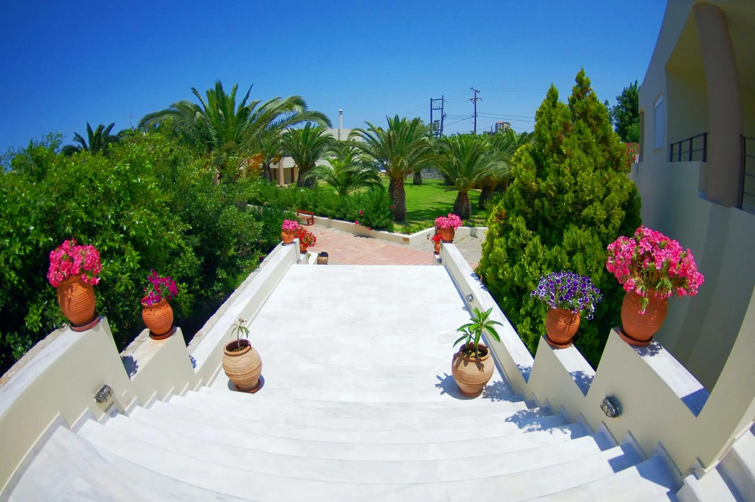 Decorative detail in Eleftheria Hotel