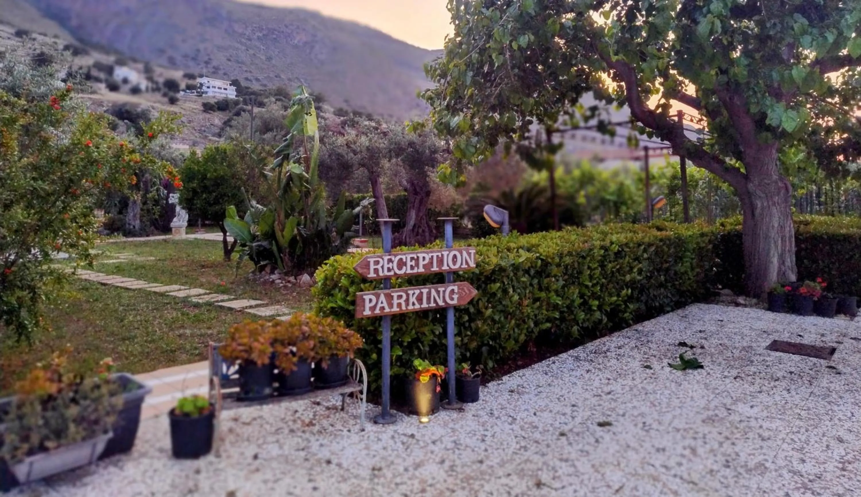 Grotta dei Puntali B&B