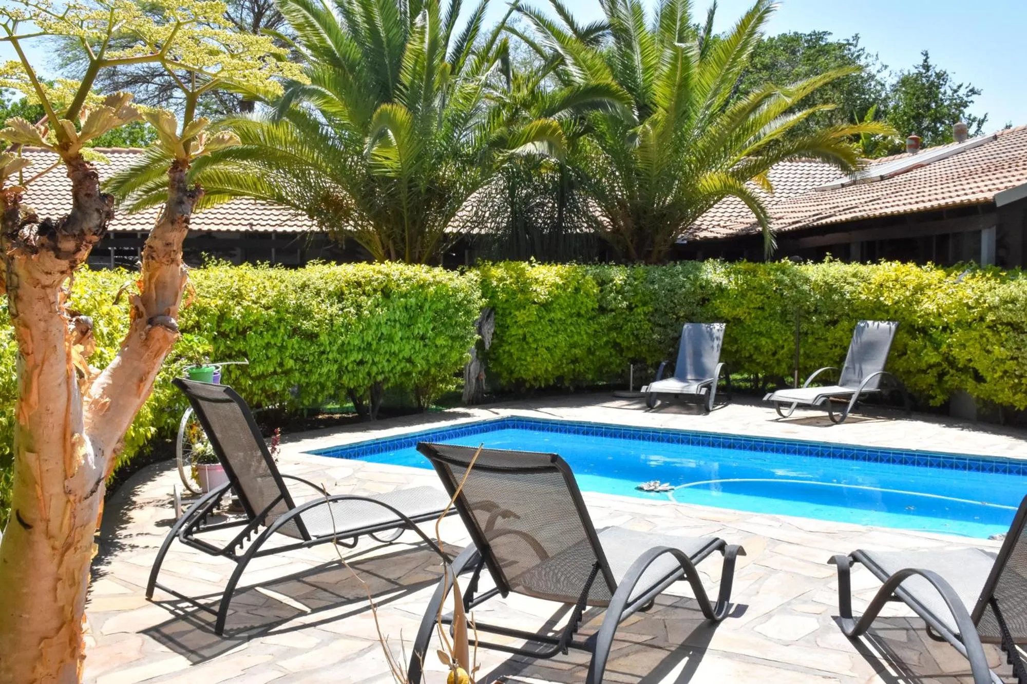 Pool view in Kamaku Guesthouse cc